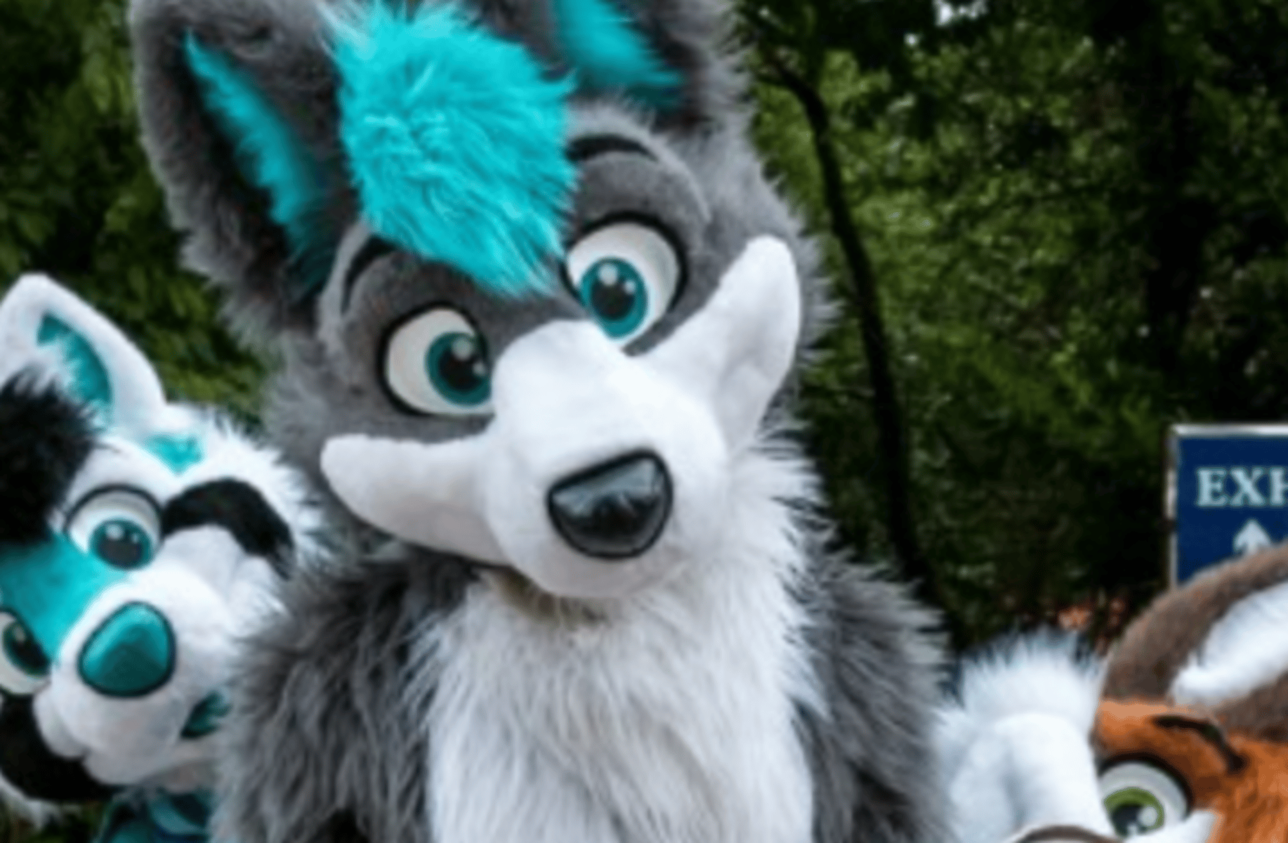 A Skibidi Furry