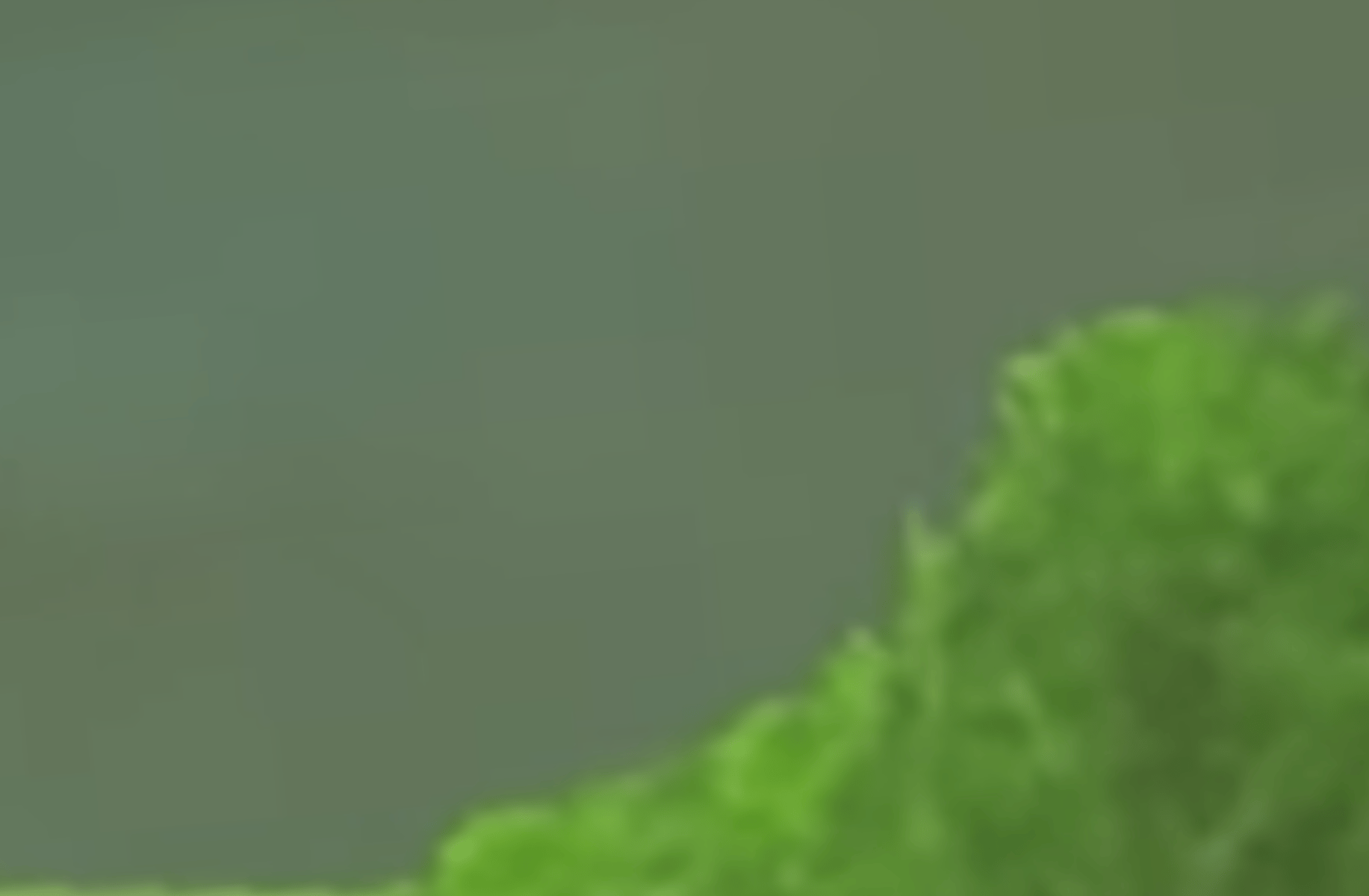 Multiverse Link(s)