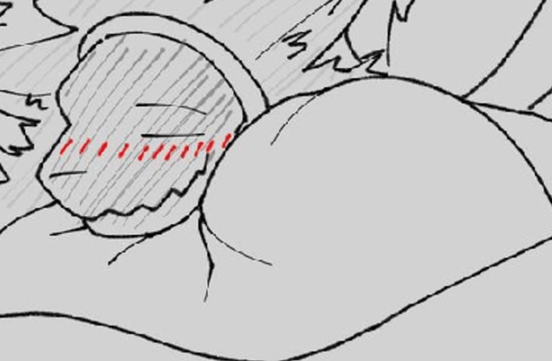 Wire the Protogen