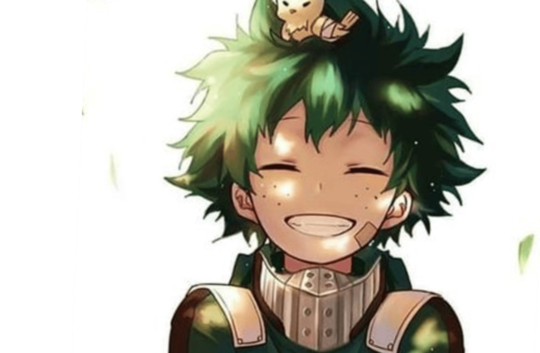 Izuku Midorya