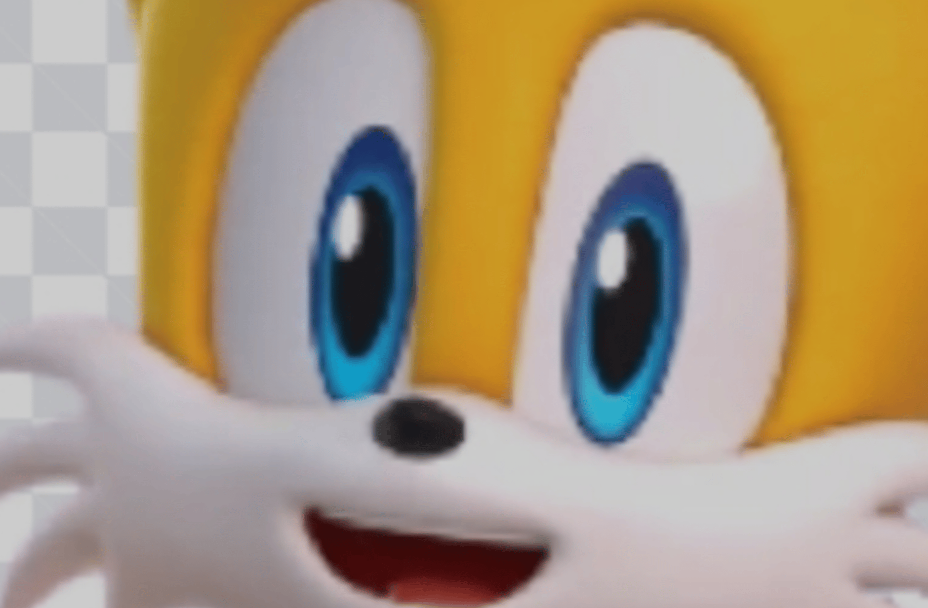 Tails The Fox