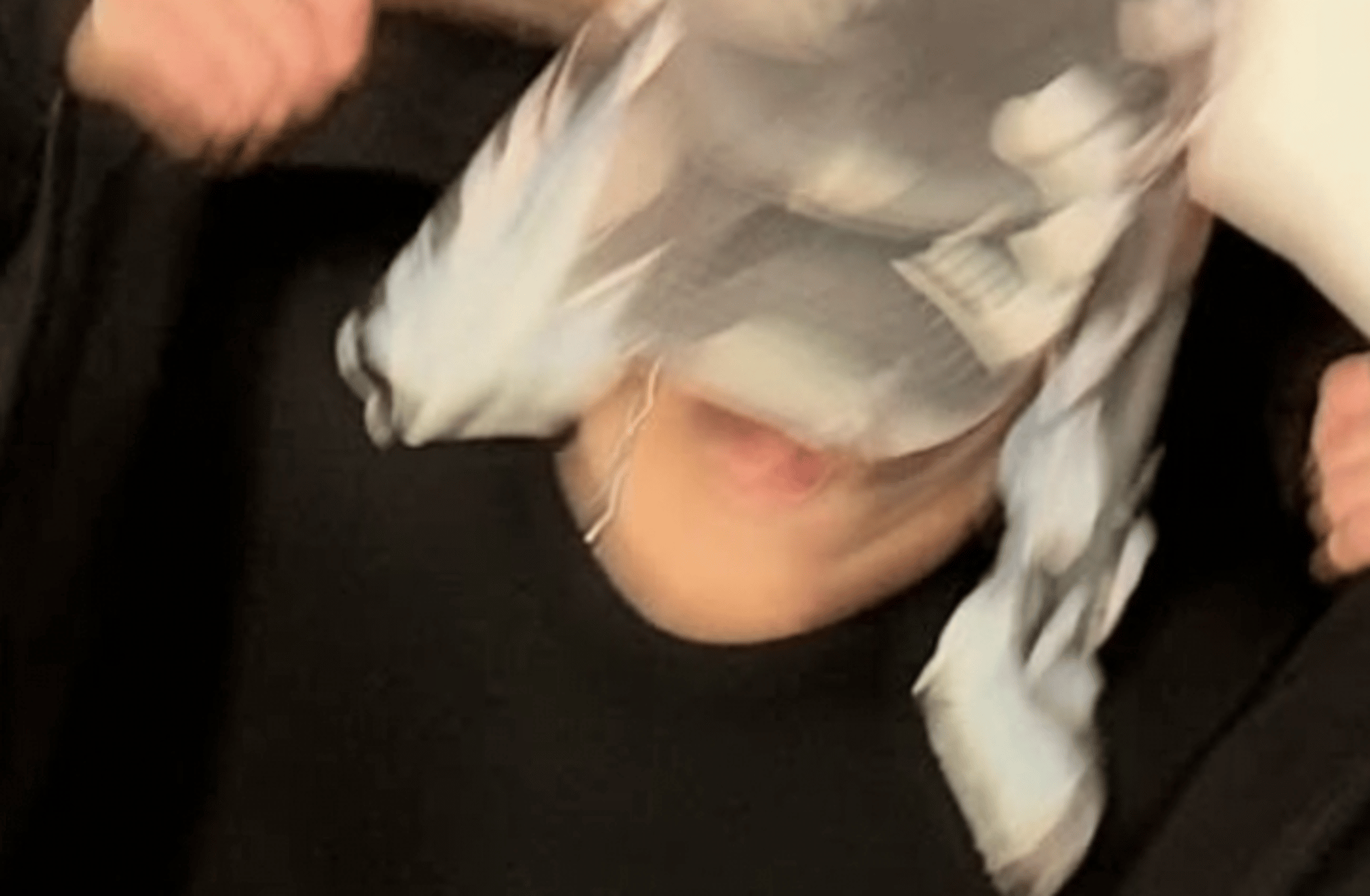 Jay