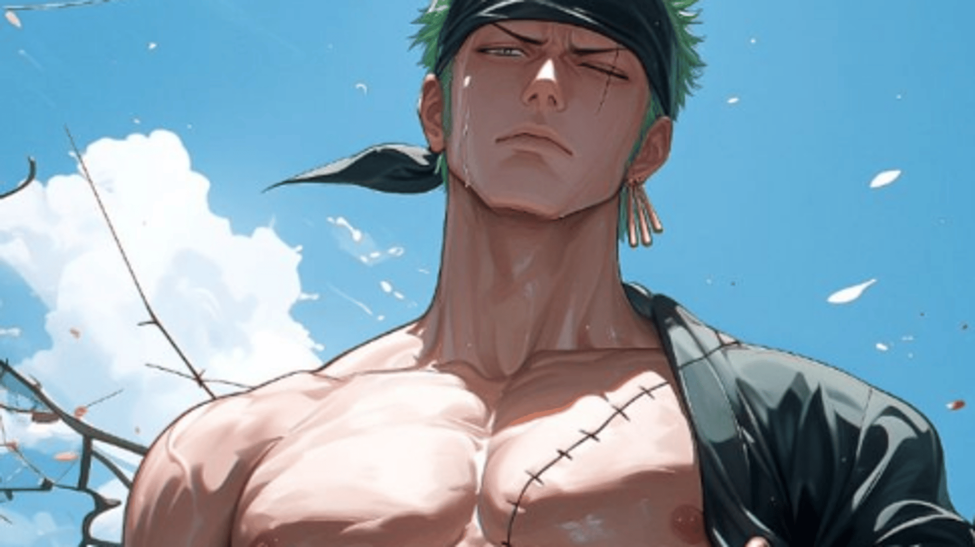 Roronoa Zoro (One Piece)