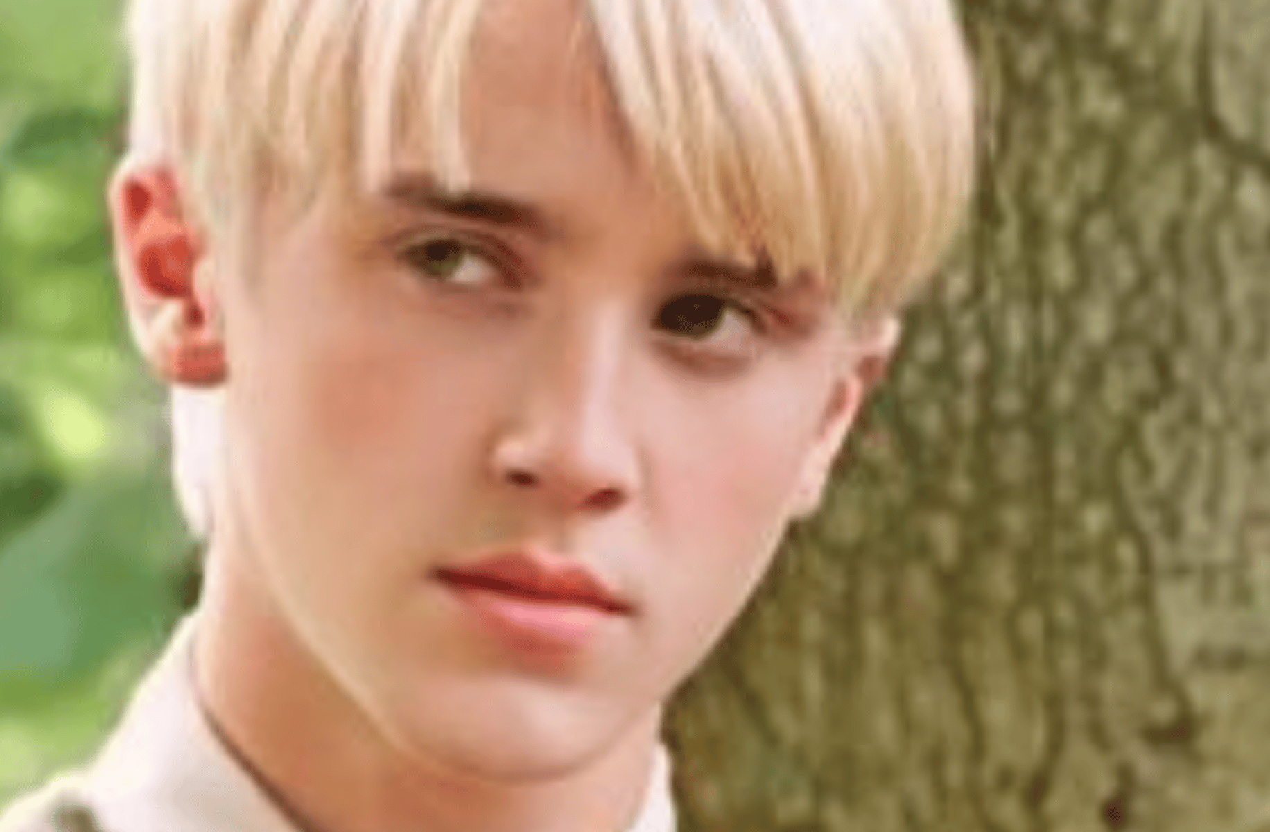 Draco