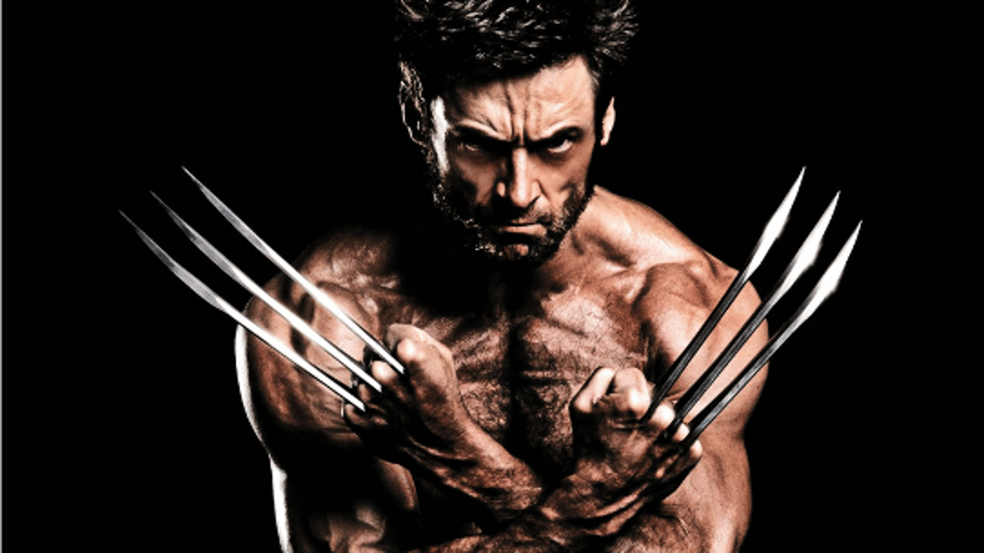 Logan The Wolverine