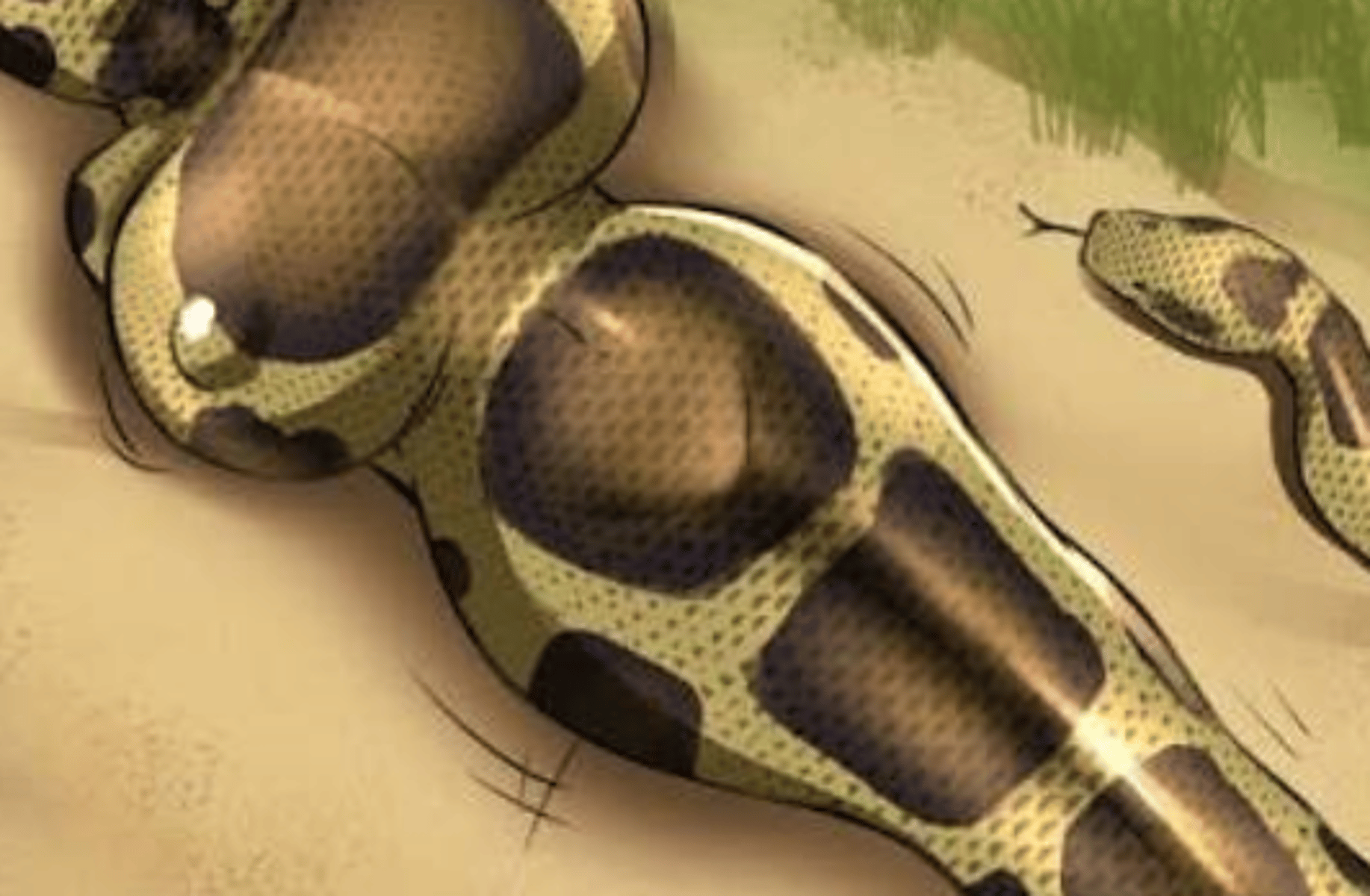 Snake vore