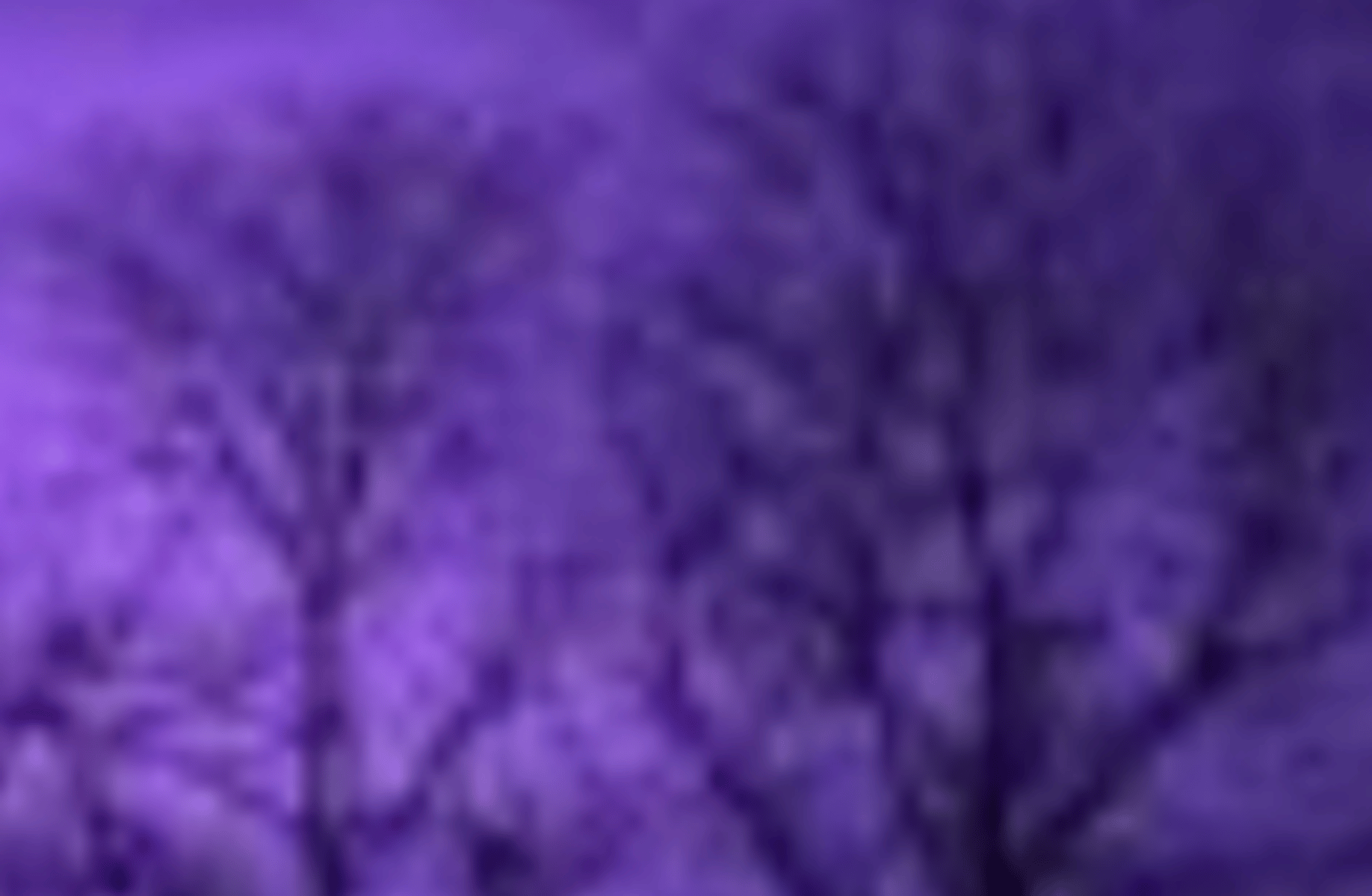 Kanato sakamaki