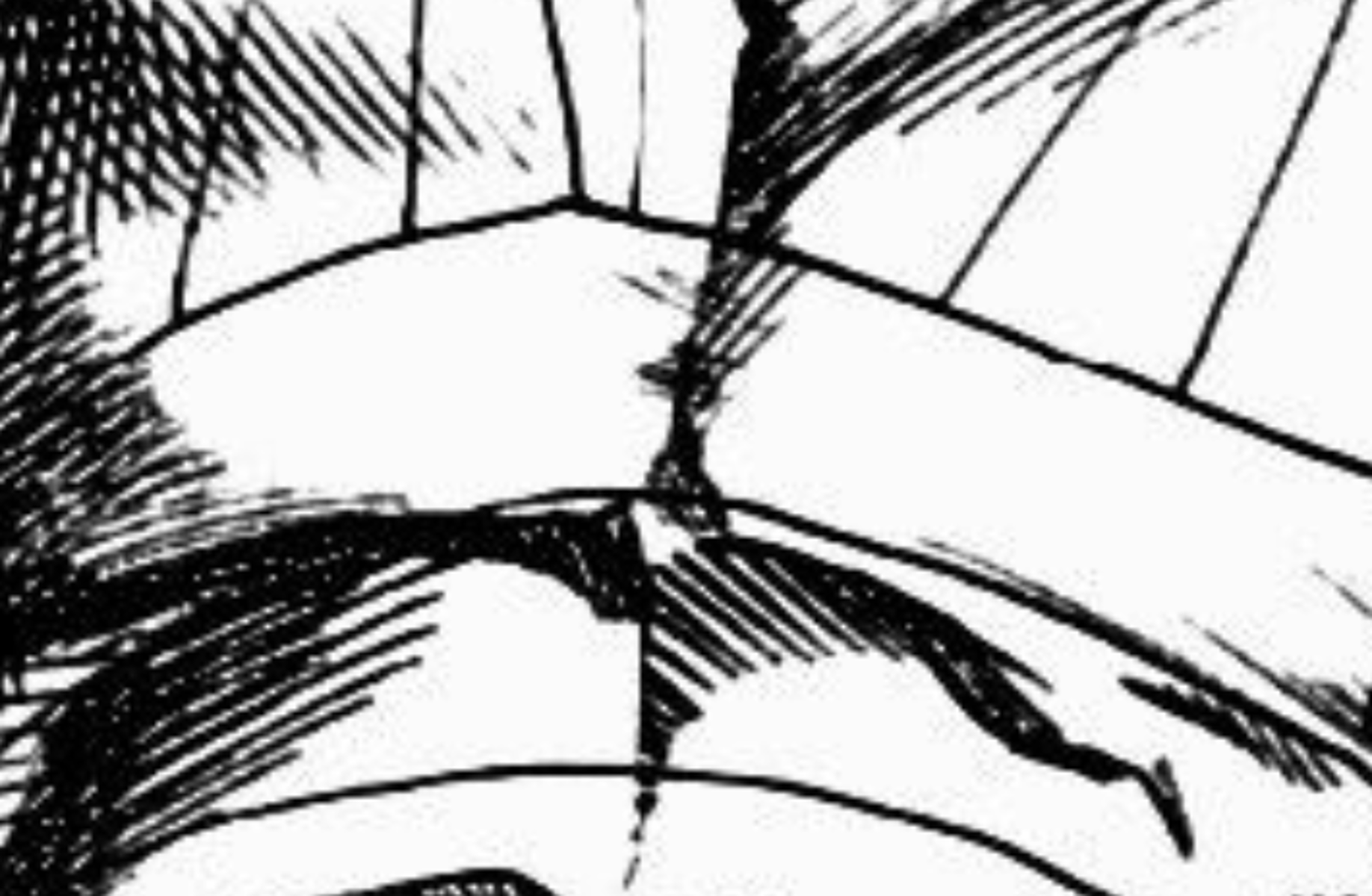 001 - Garou