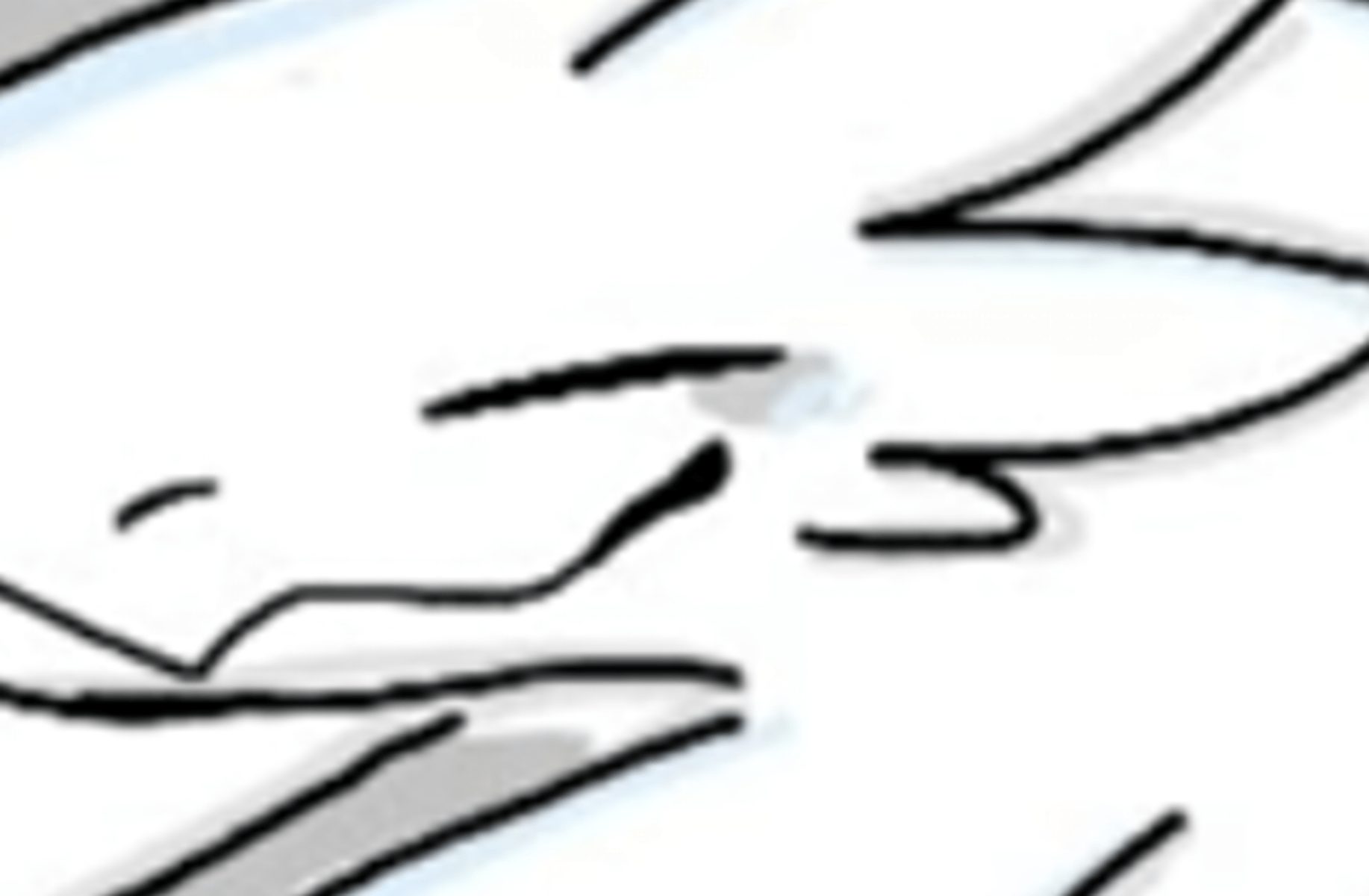 white lizard
