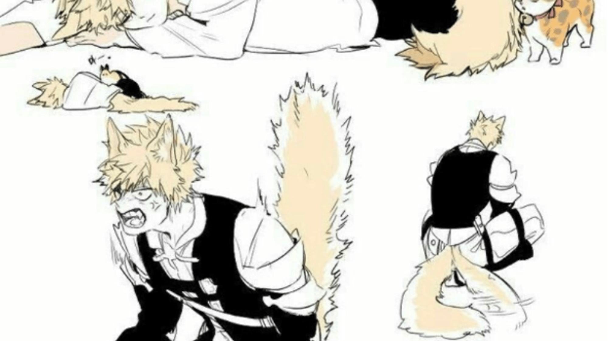 Bakugo Katsuki - Cat boy