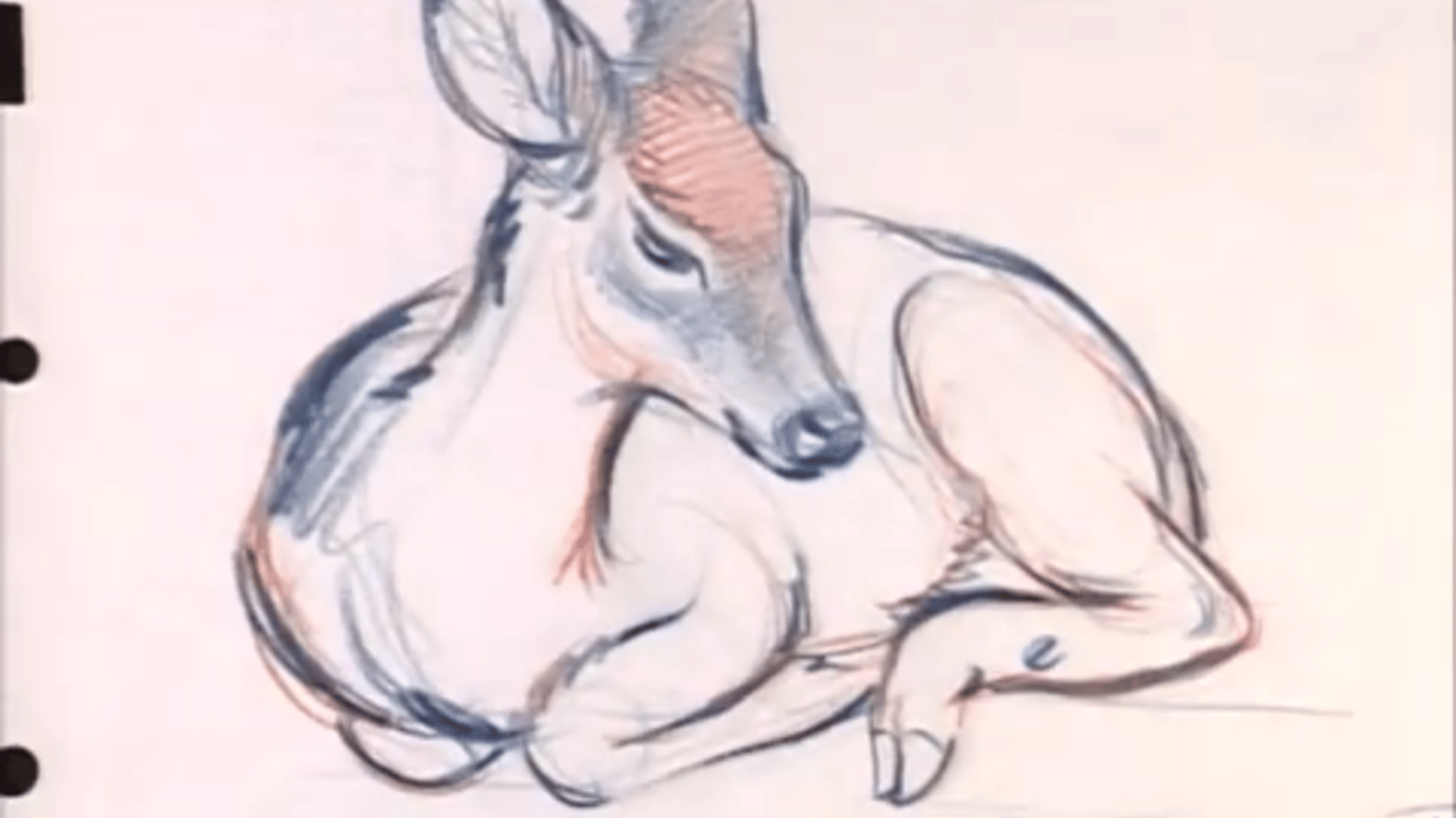 Bambi