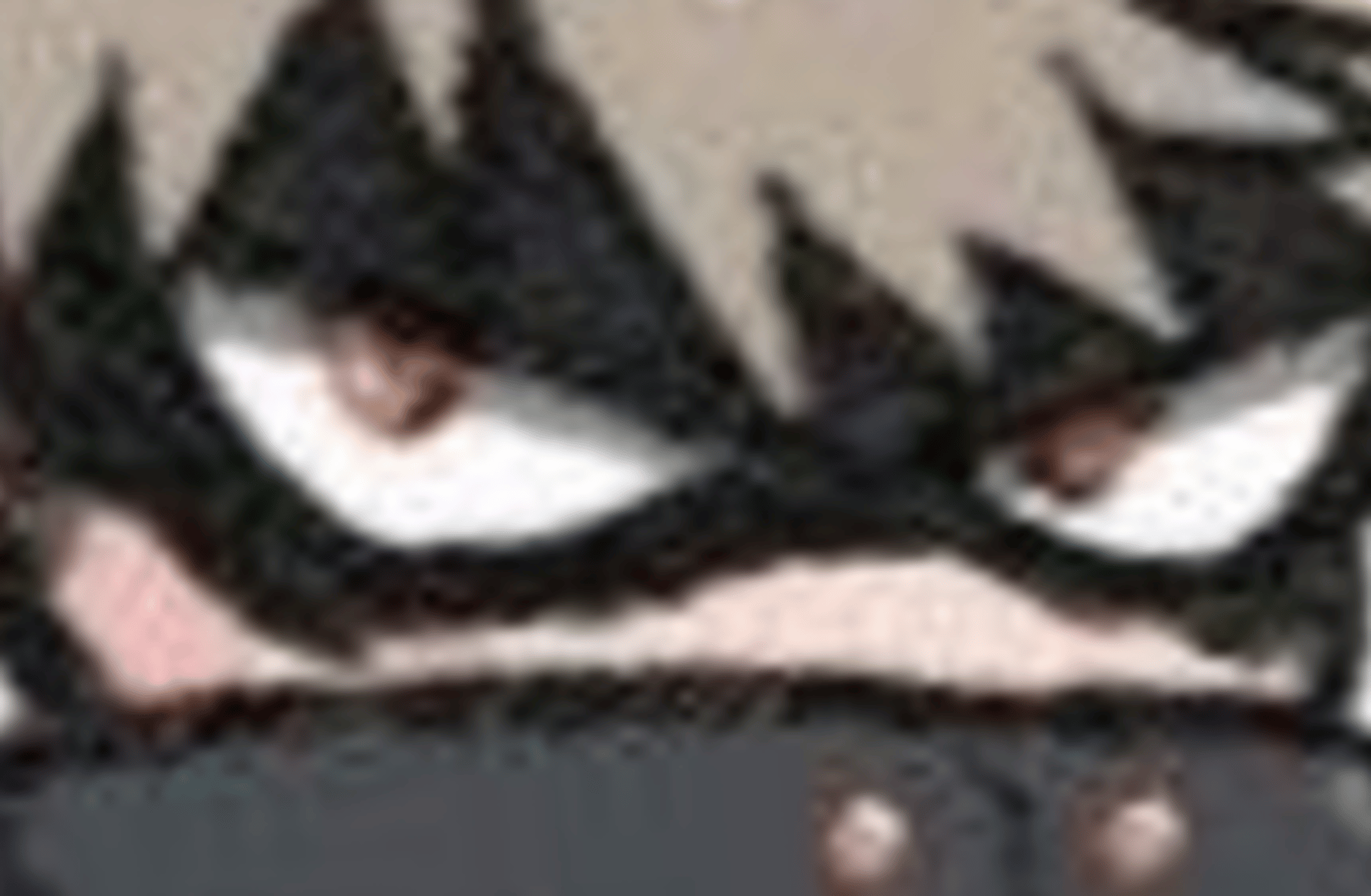 Bakugou