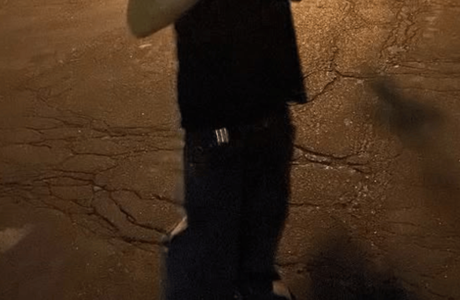 Jake