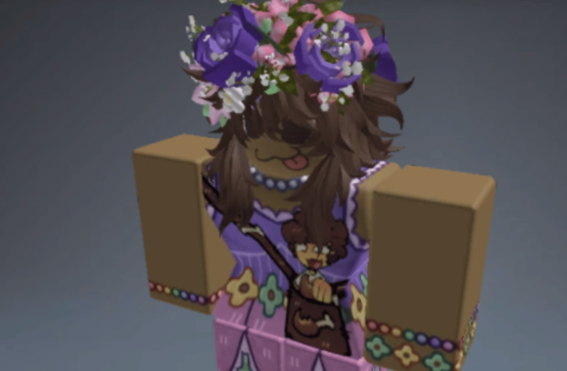 My Roblox account