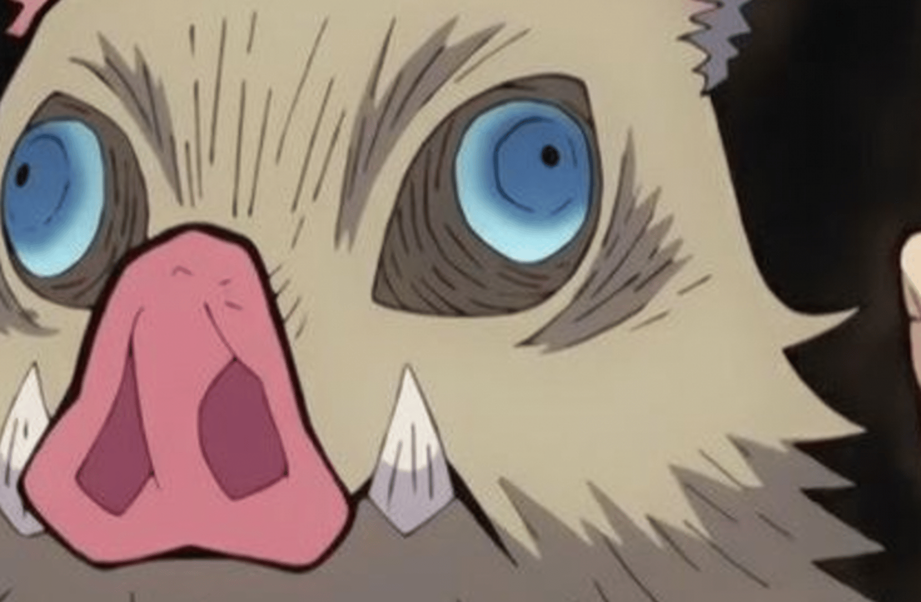 Inosuke Hashibira