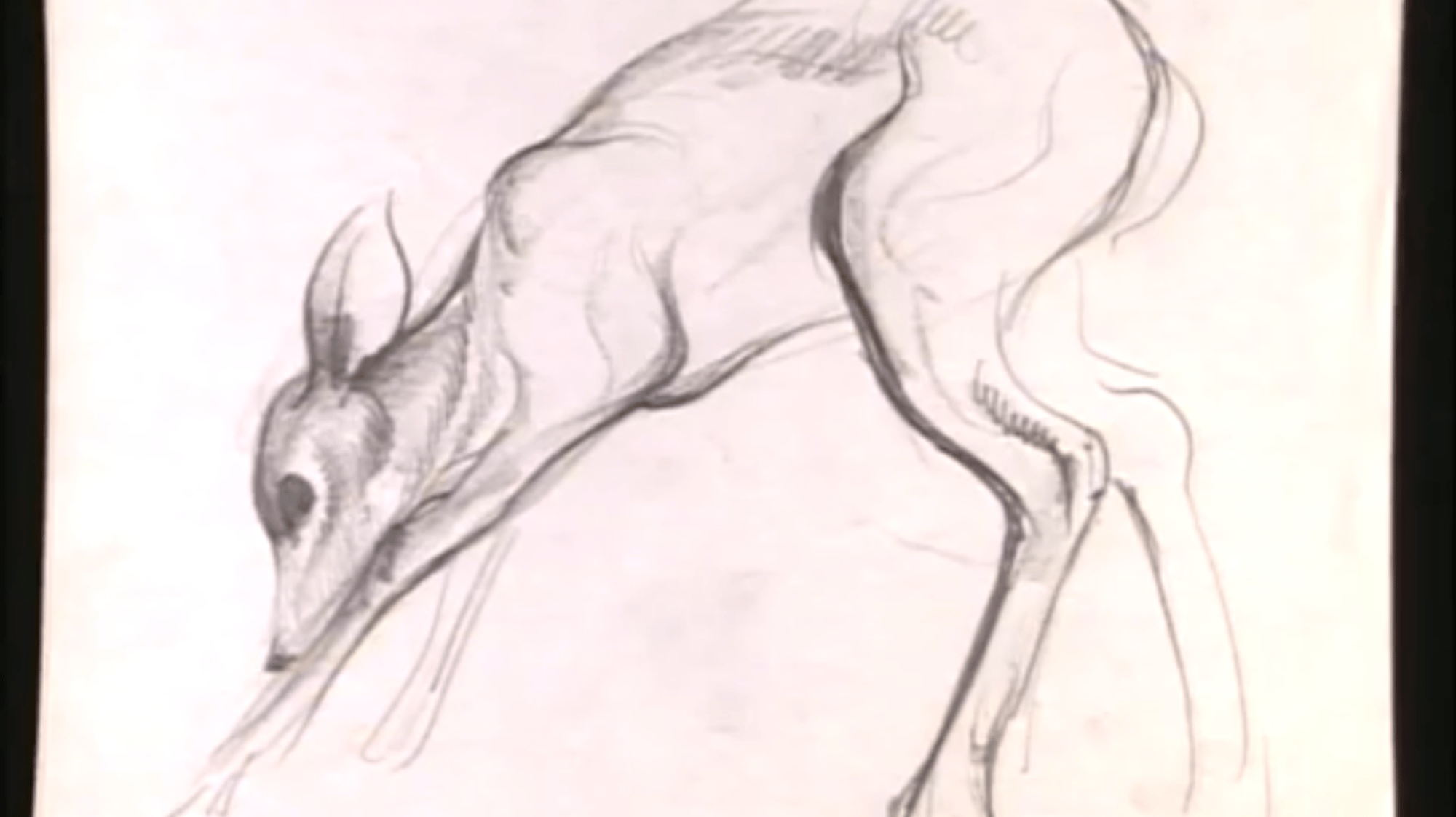 Bambi