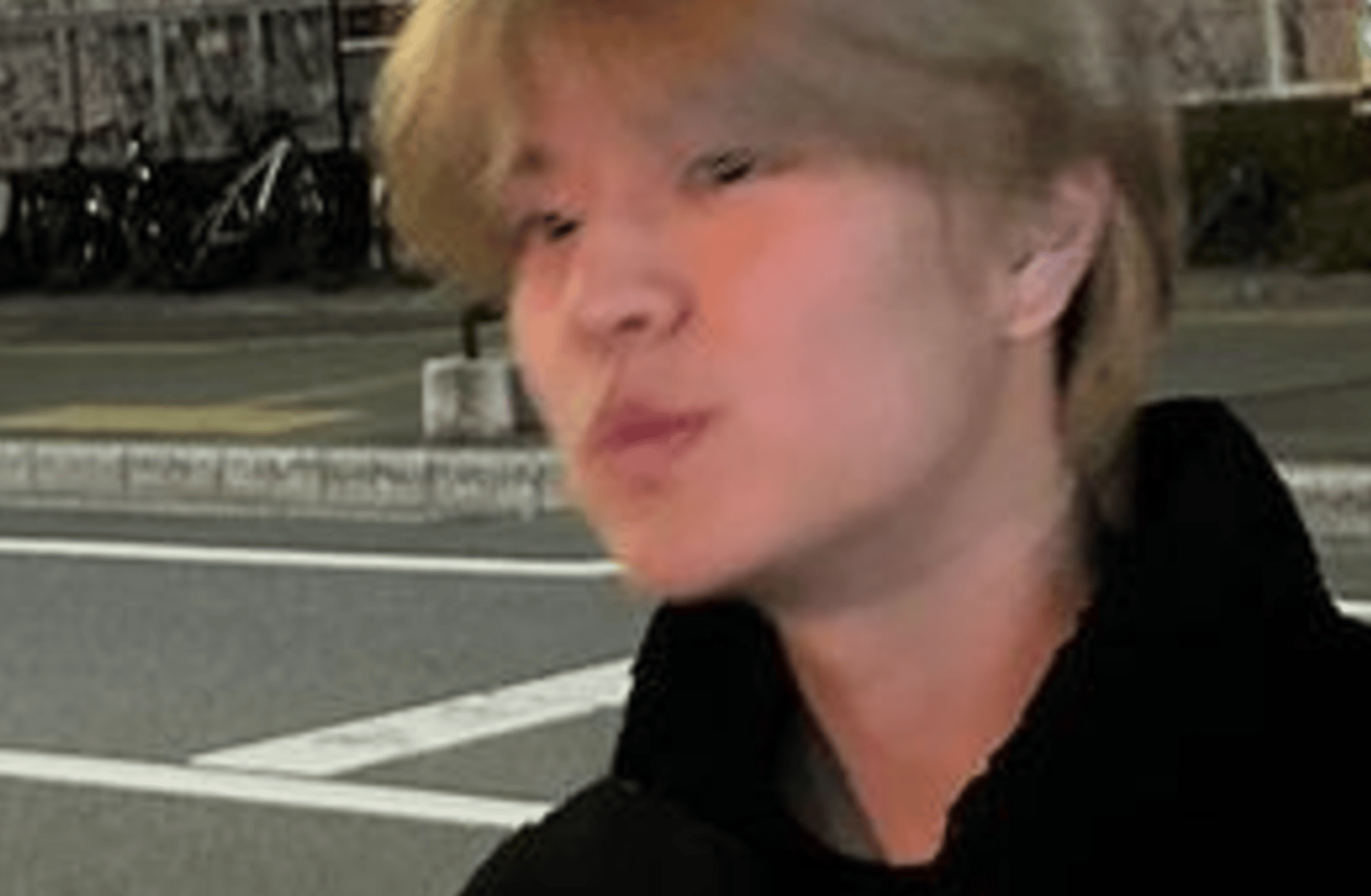 Seungmin (Dog!Hybrid)