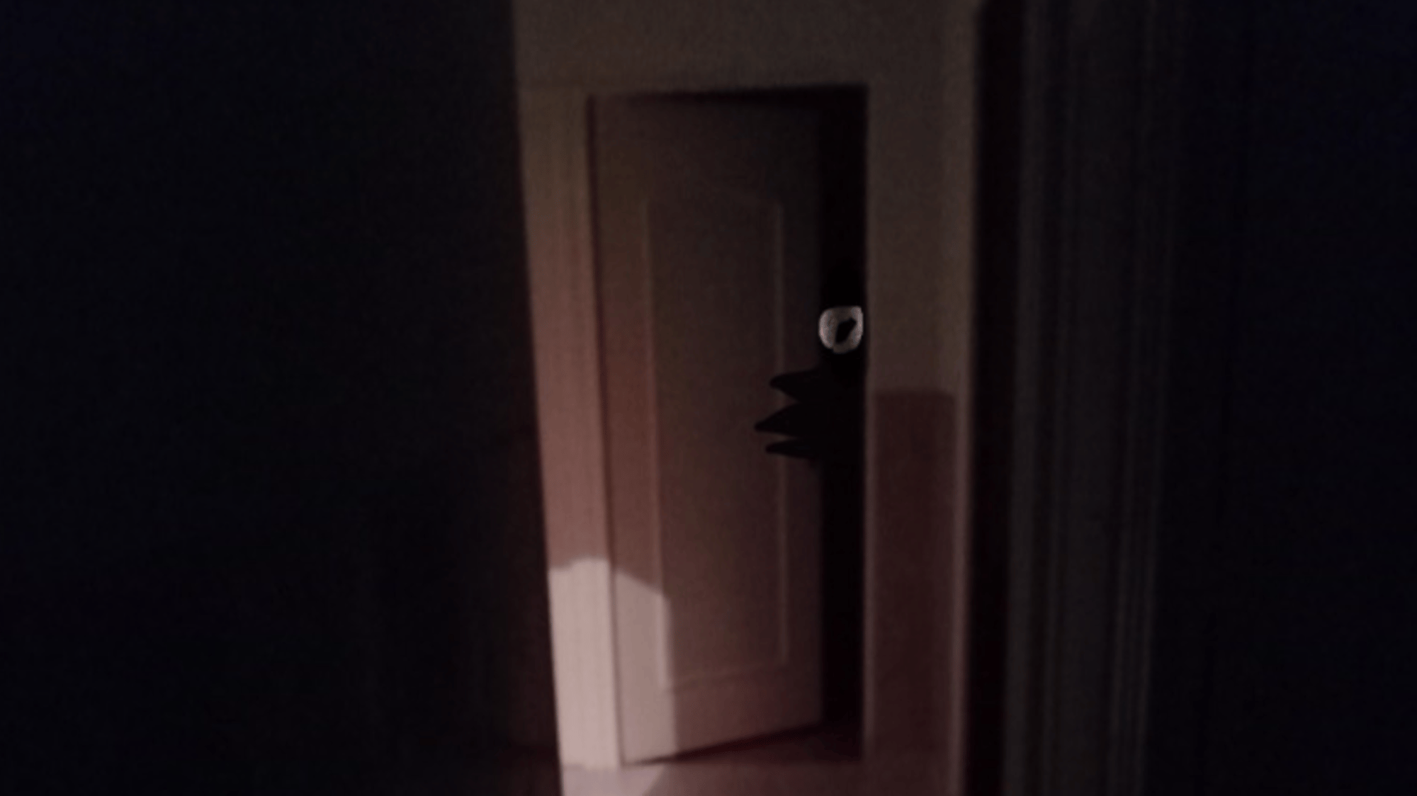 The intruder