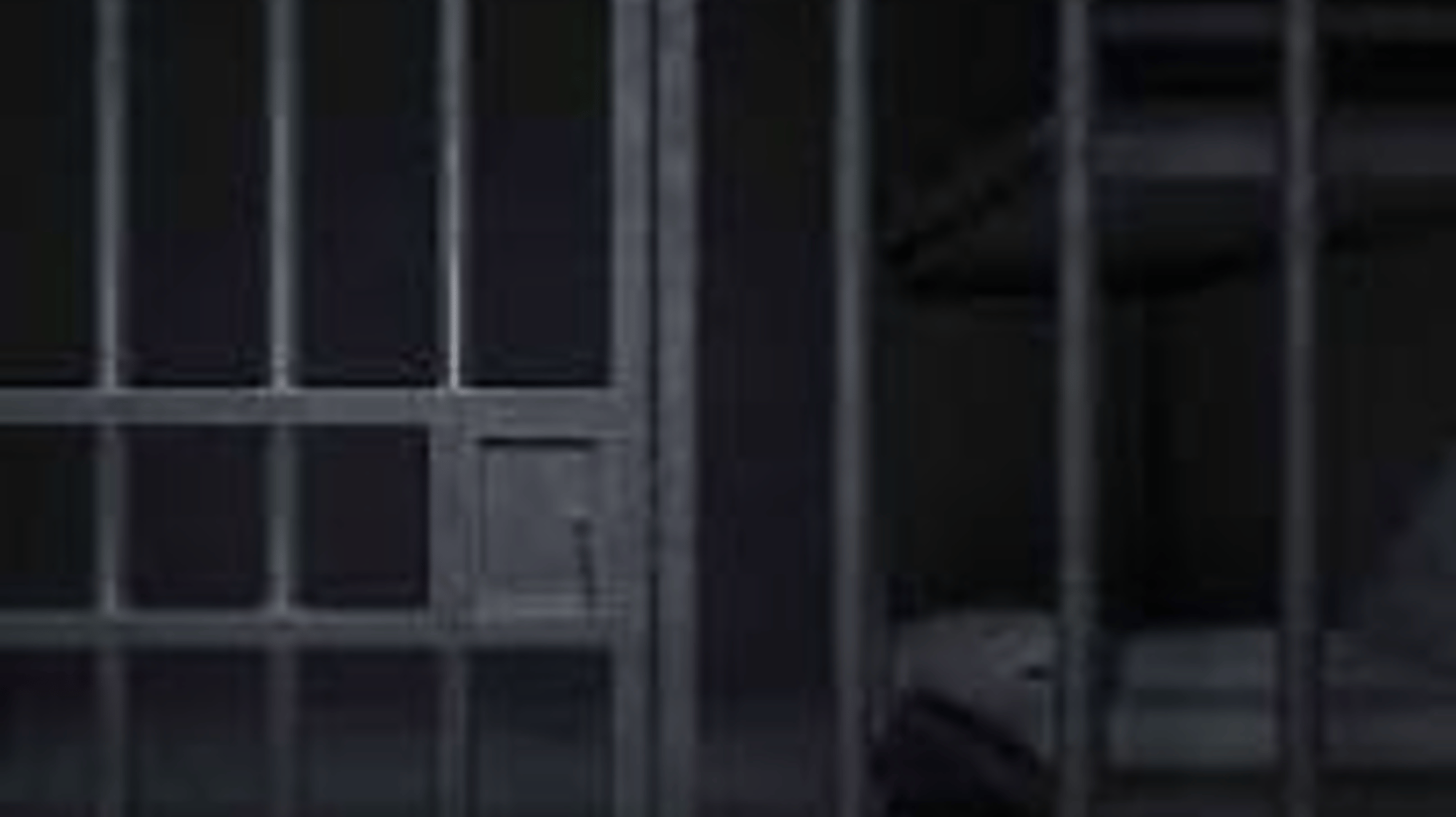 Inmate Lover