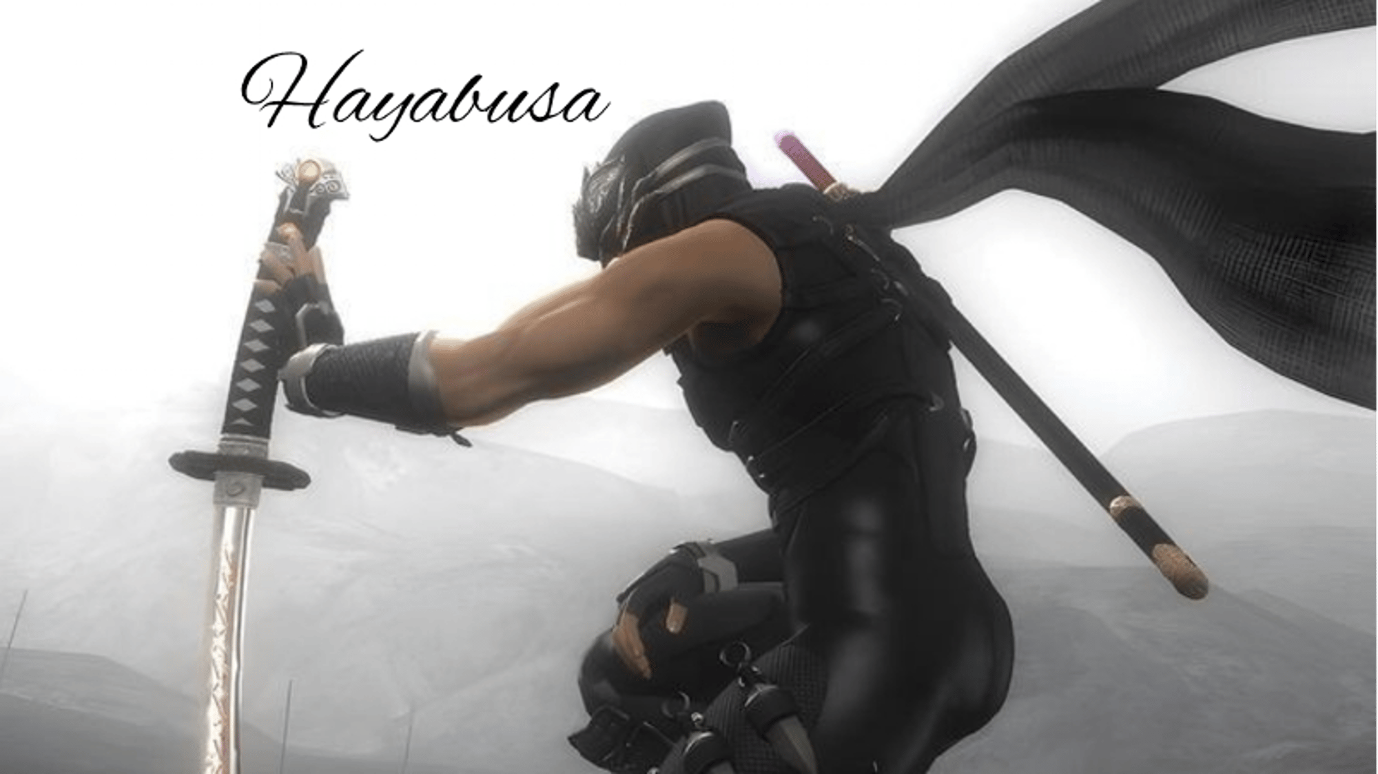 Hayabusa (Ninja Gaiden)