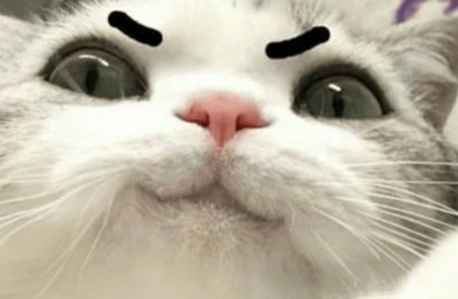 saucyzachary