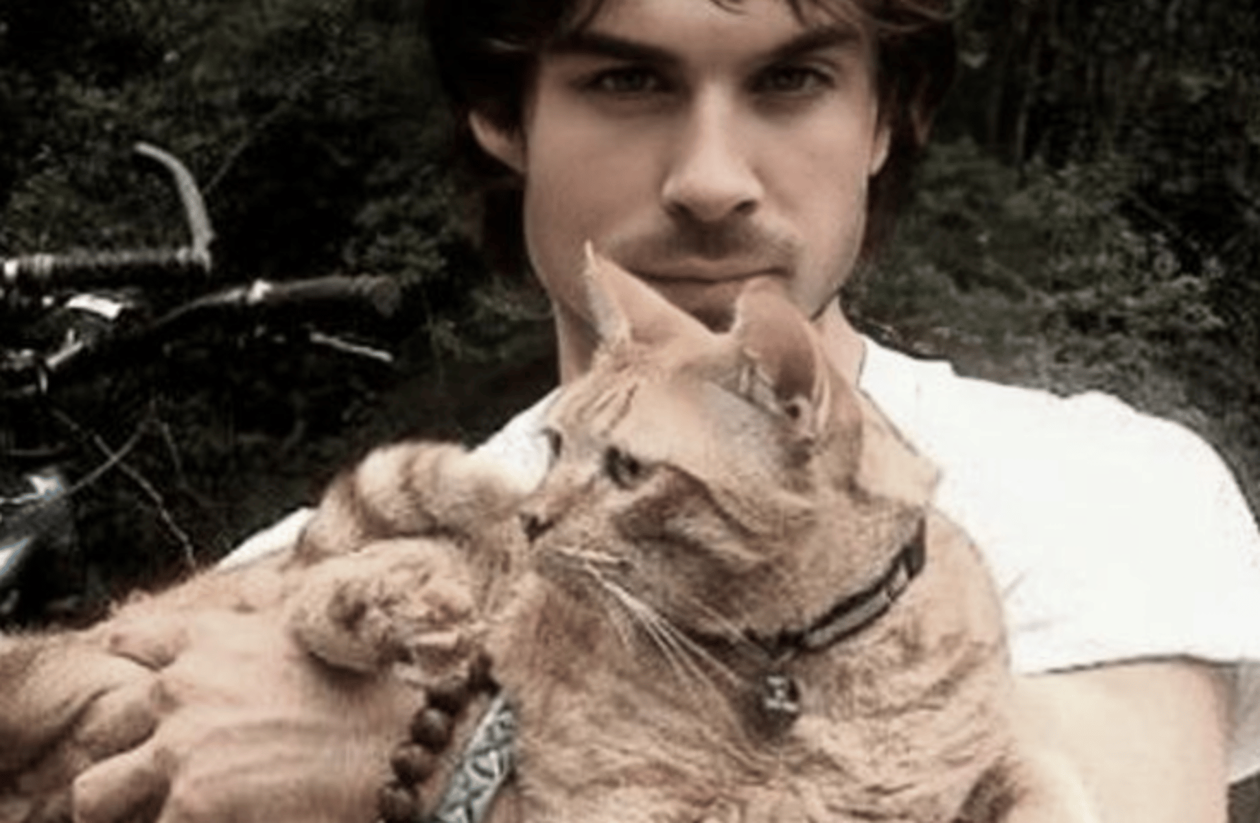 Damon Salvatore