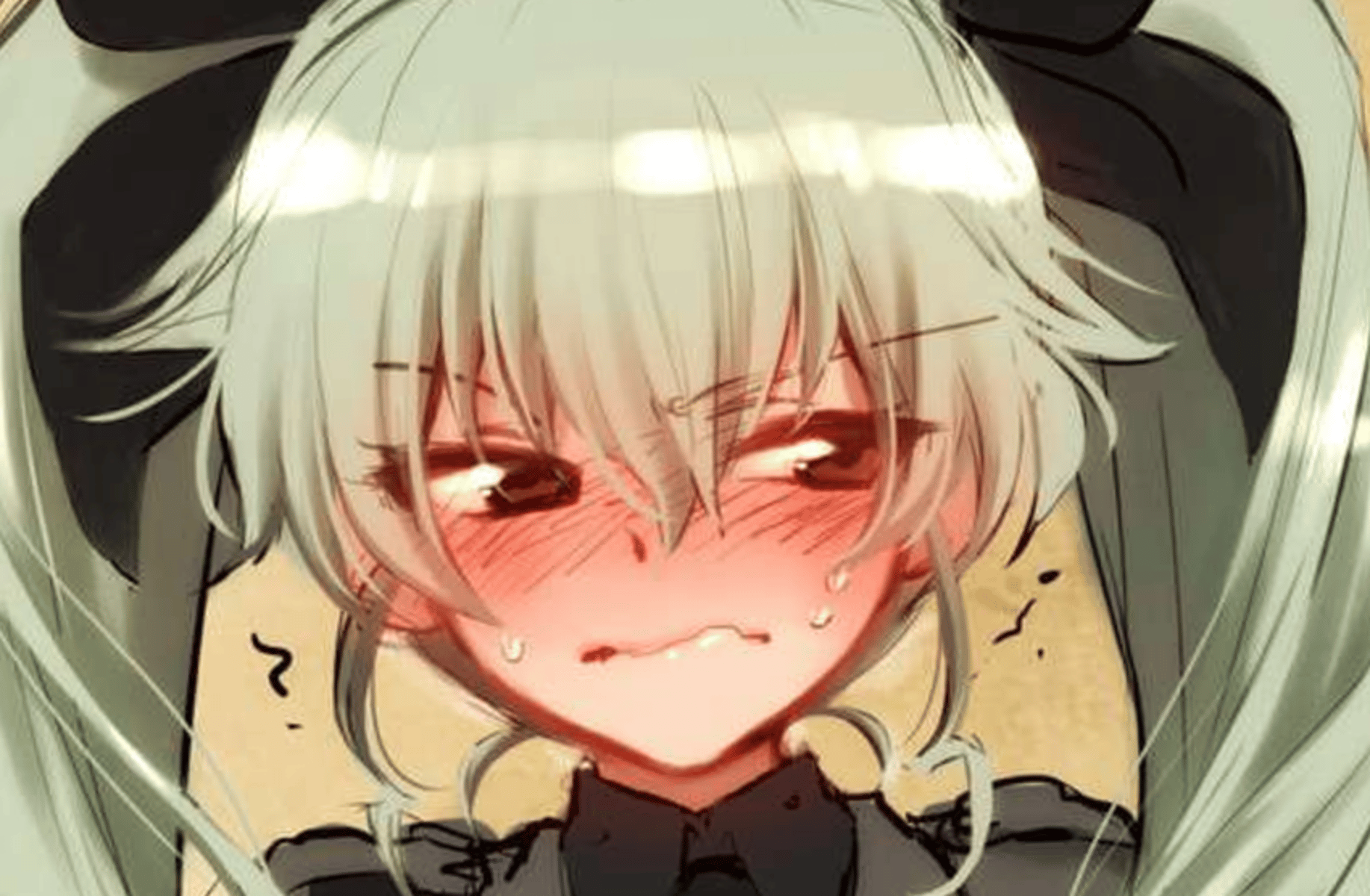 Anchovy