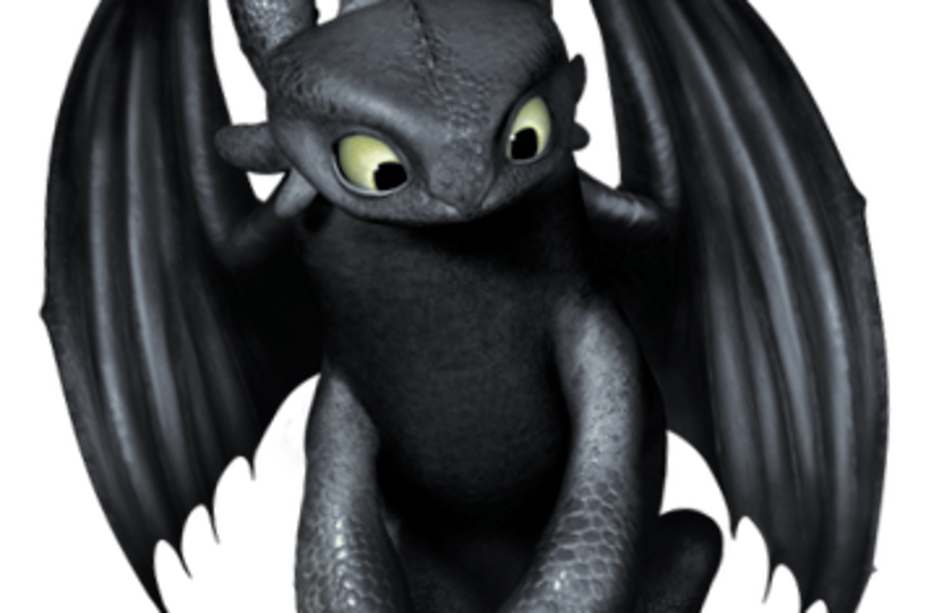 Toothless the dragon