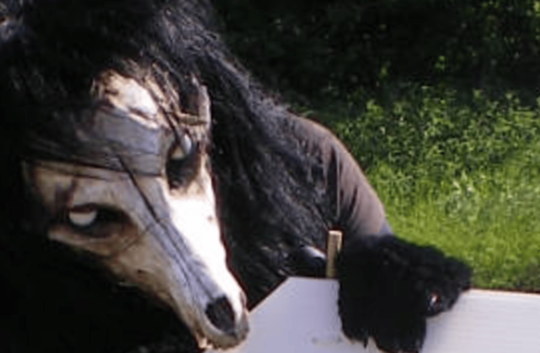 SCP 1471-A