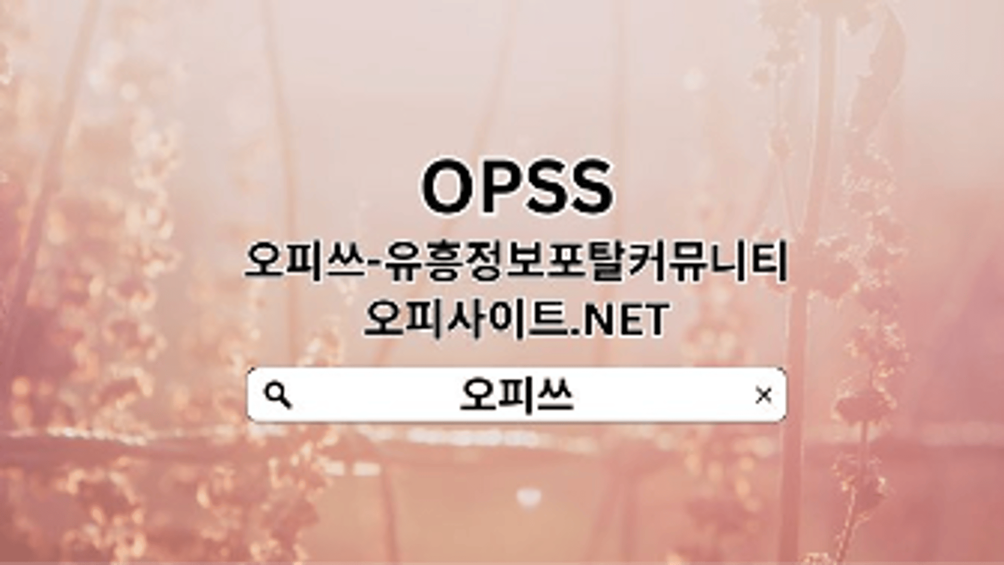 ansanop