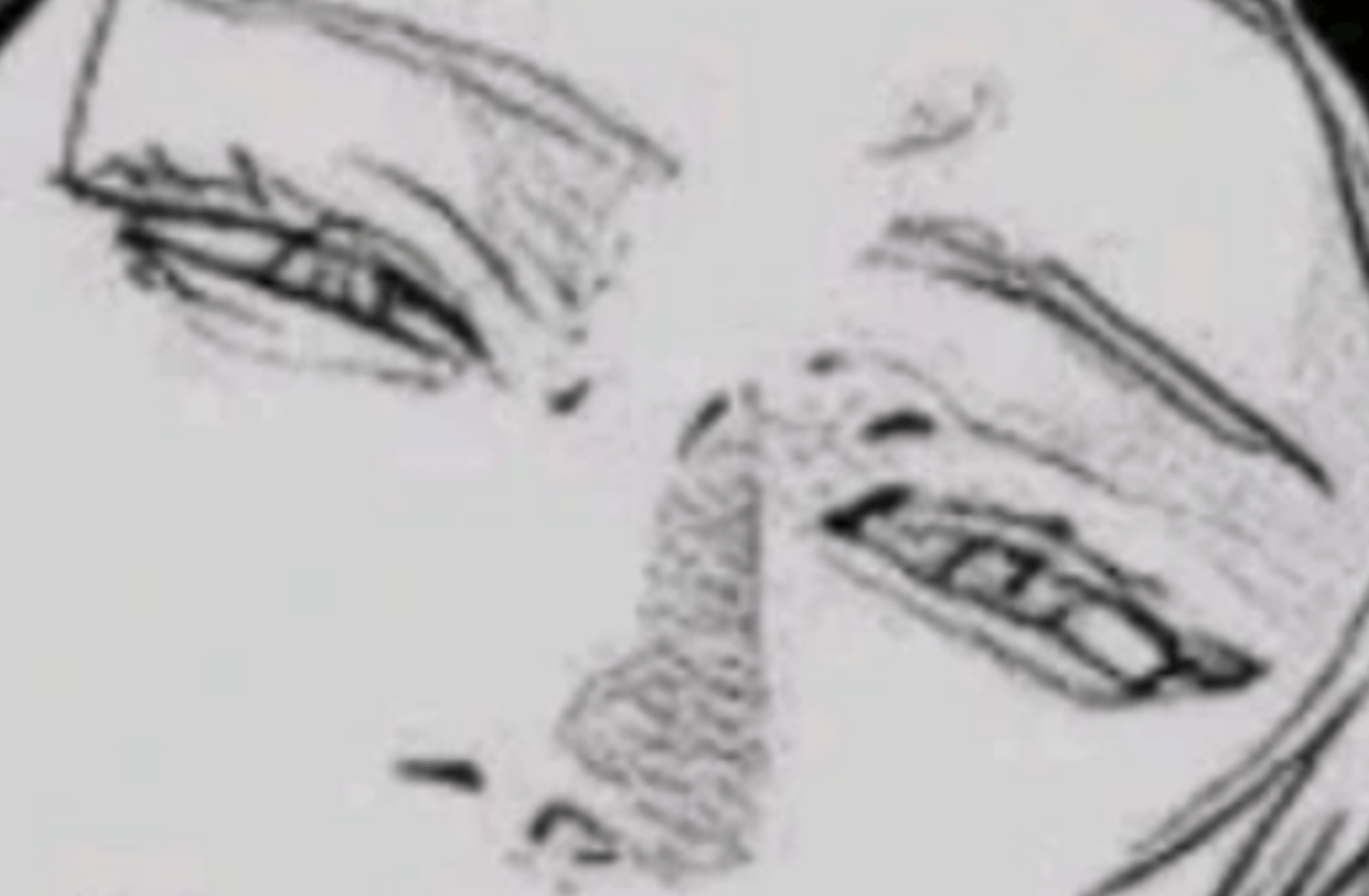 Gojo Satoru