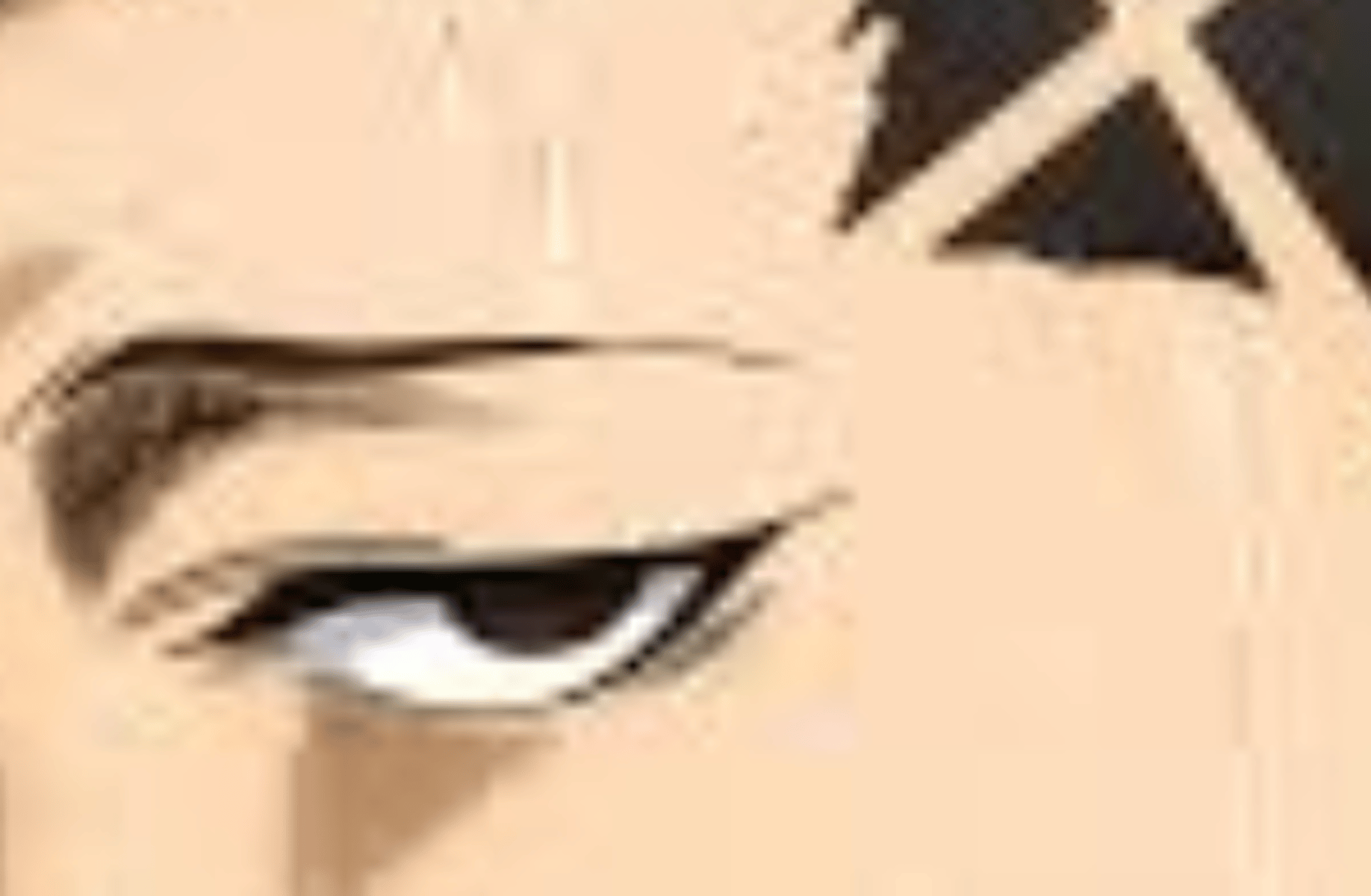 Shoei Barou confesses
