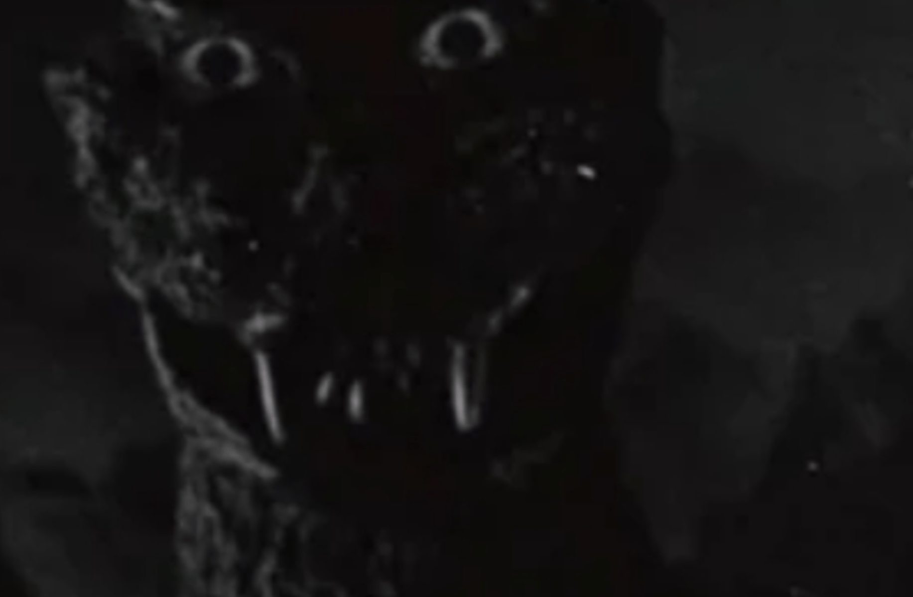 9154 the Godzilla inciden