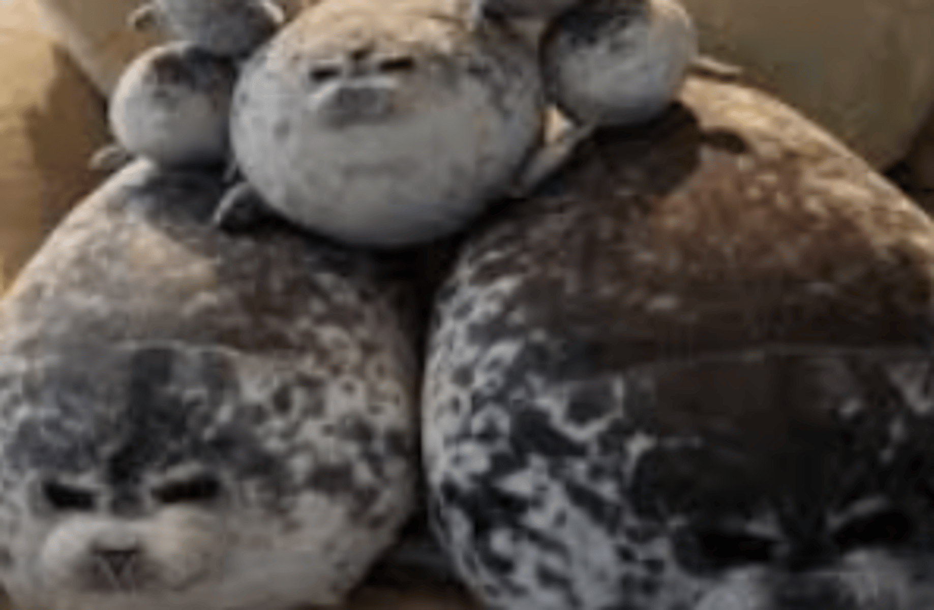 Seal army