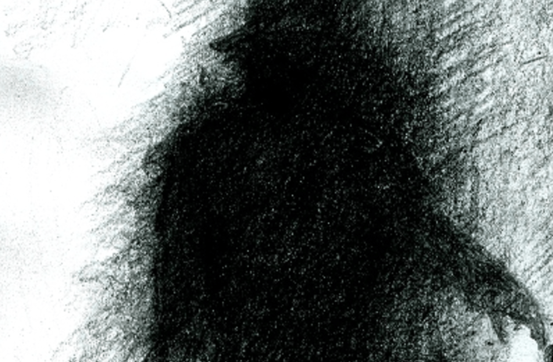 Sombras