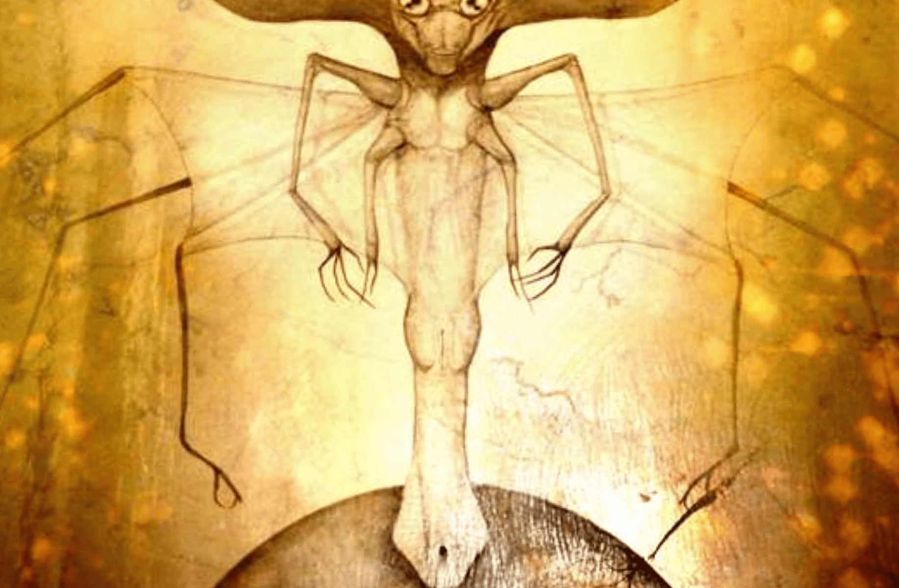 Asteromorph god