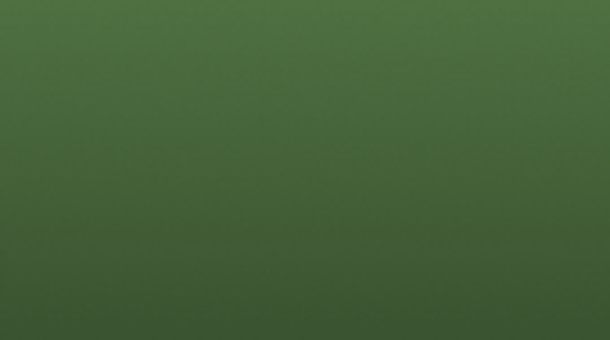 Fliqpy -cannon-