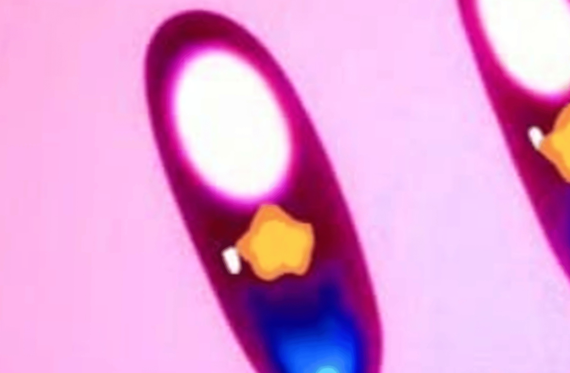 Kirby
