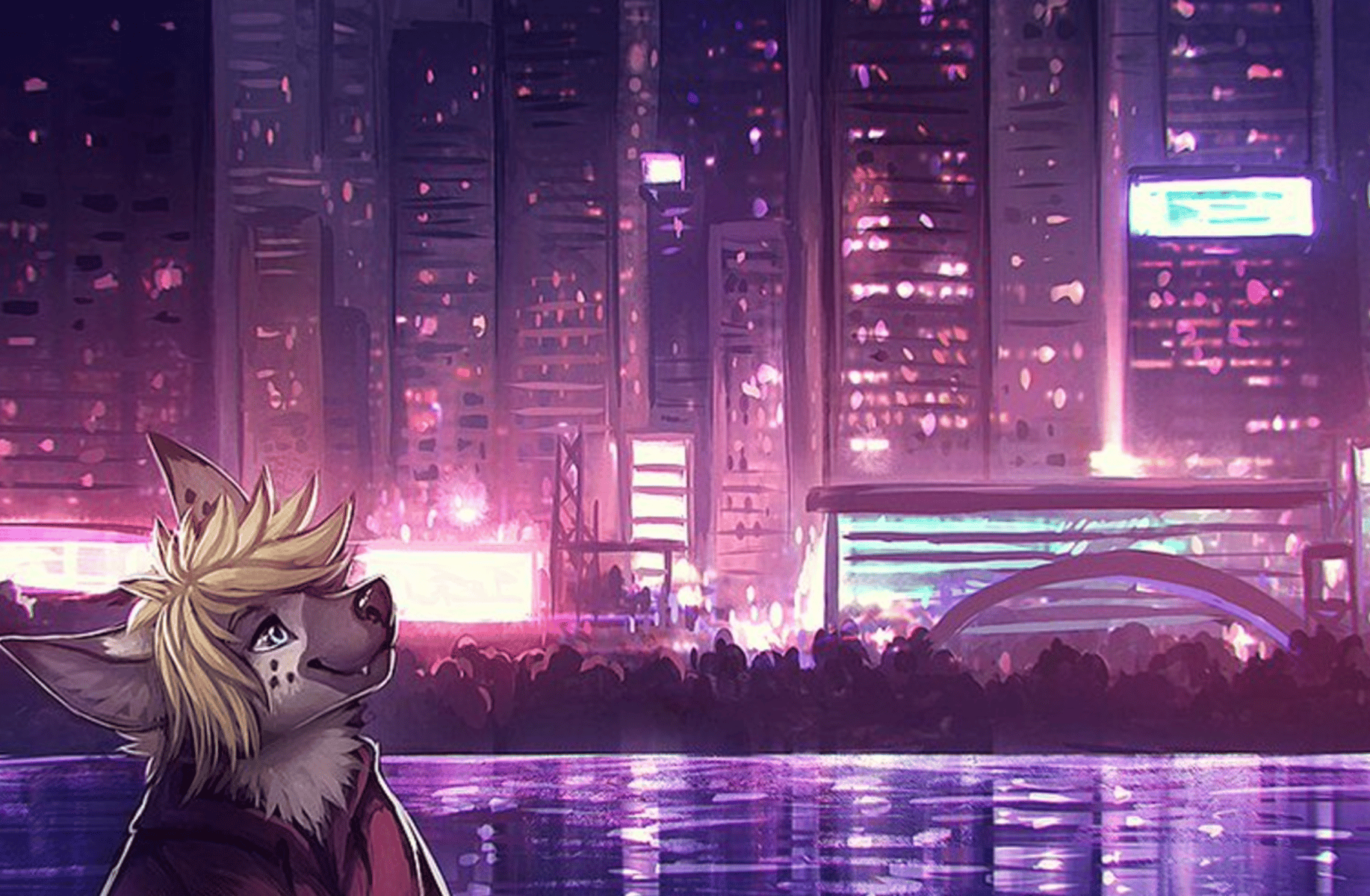 Human in a furry world