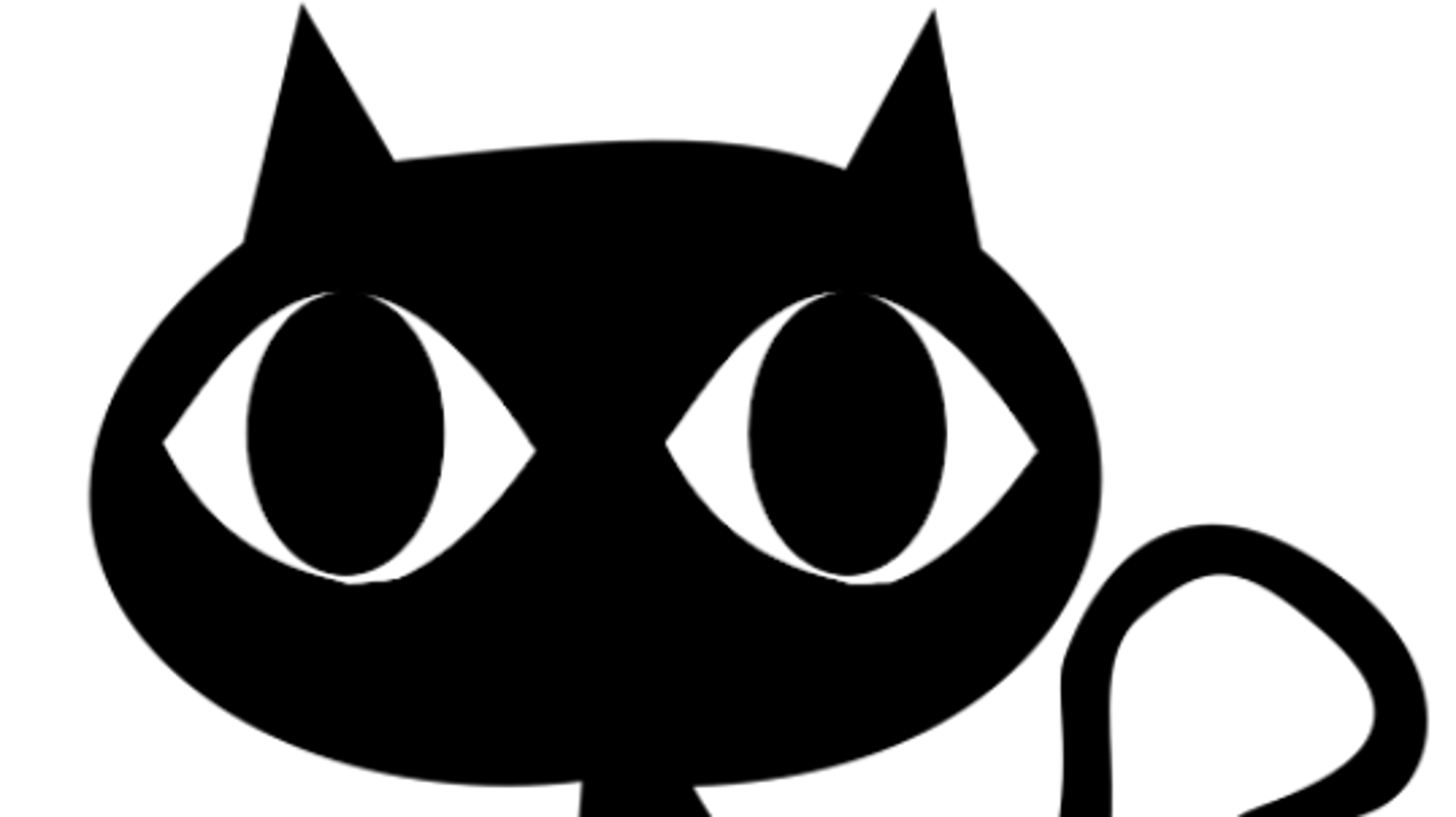 black cat