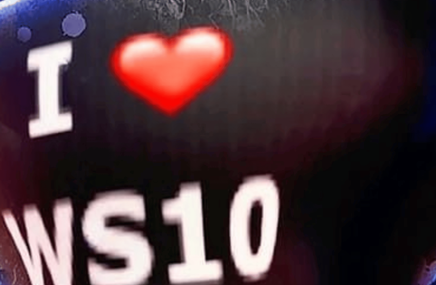 Ws10