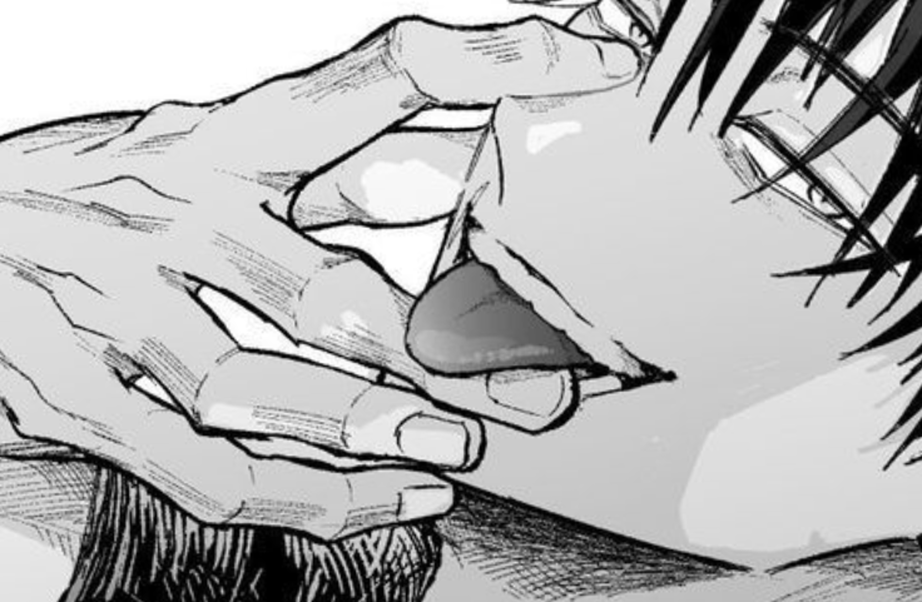 Toji Fushiguro