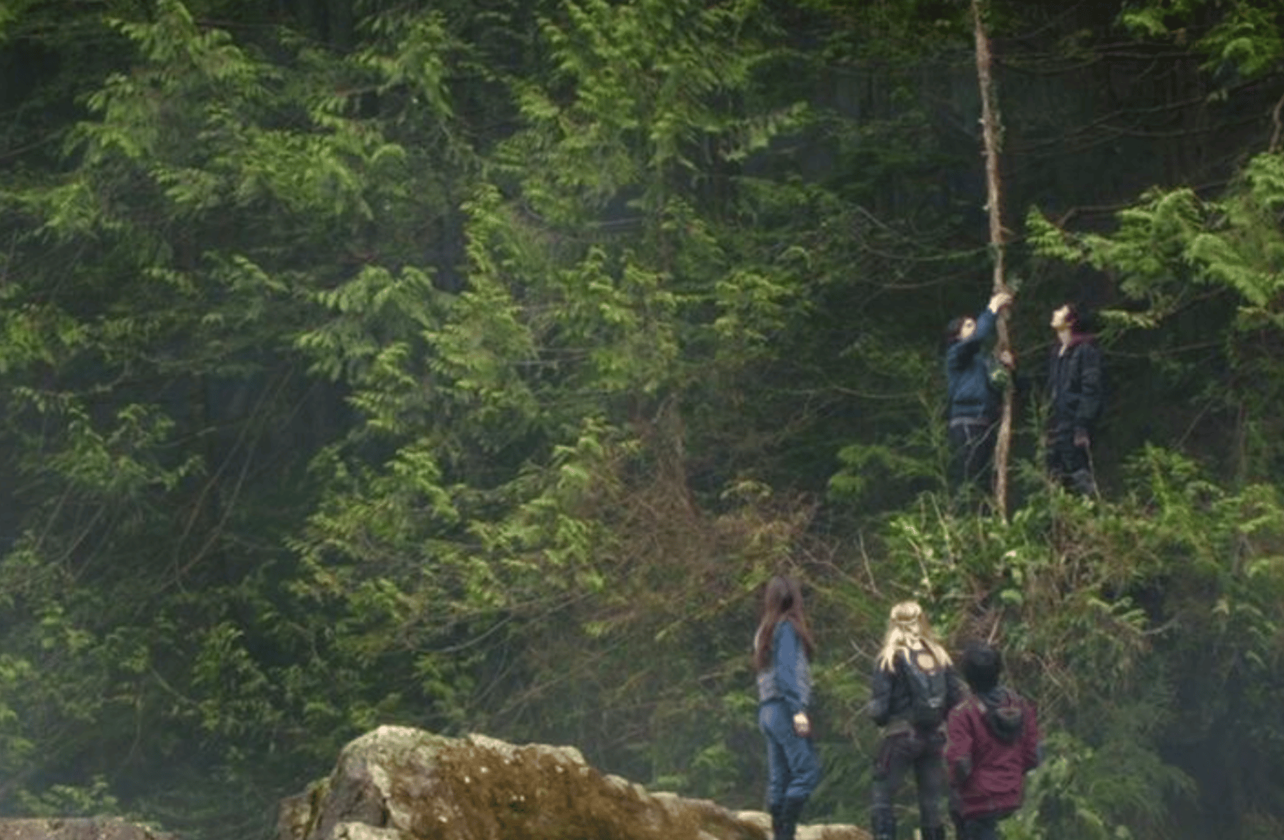 - THE 100 -