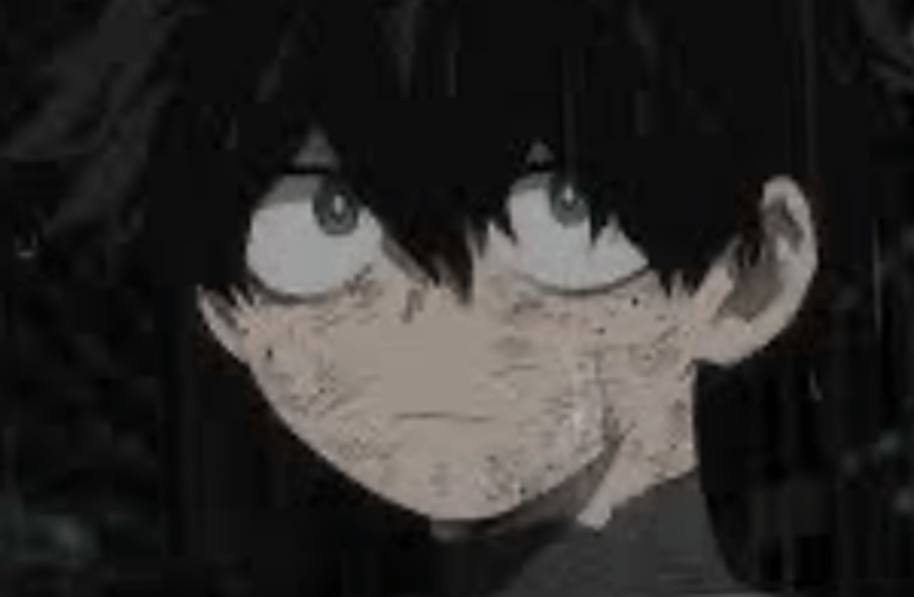 Izuku midoriya
