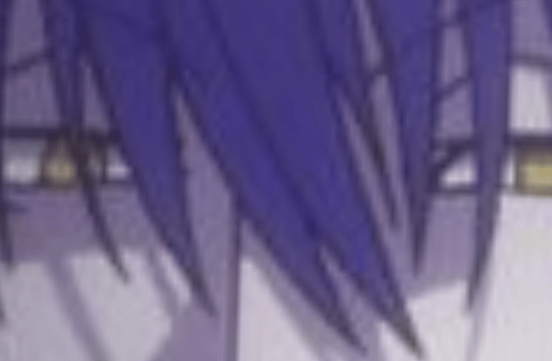 Hisoka Morow
