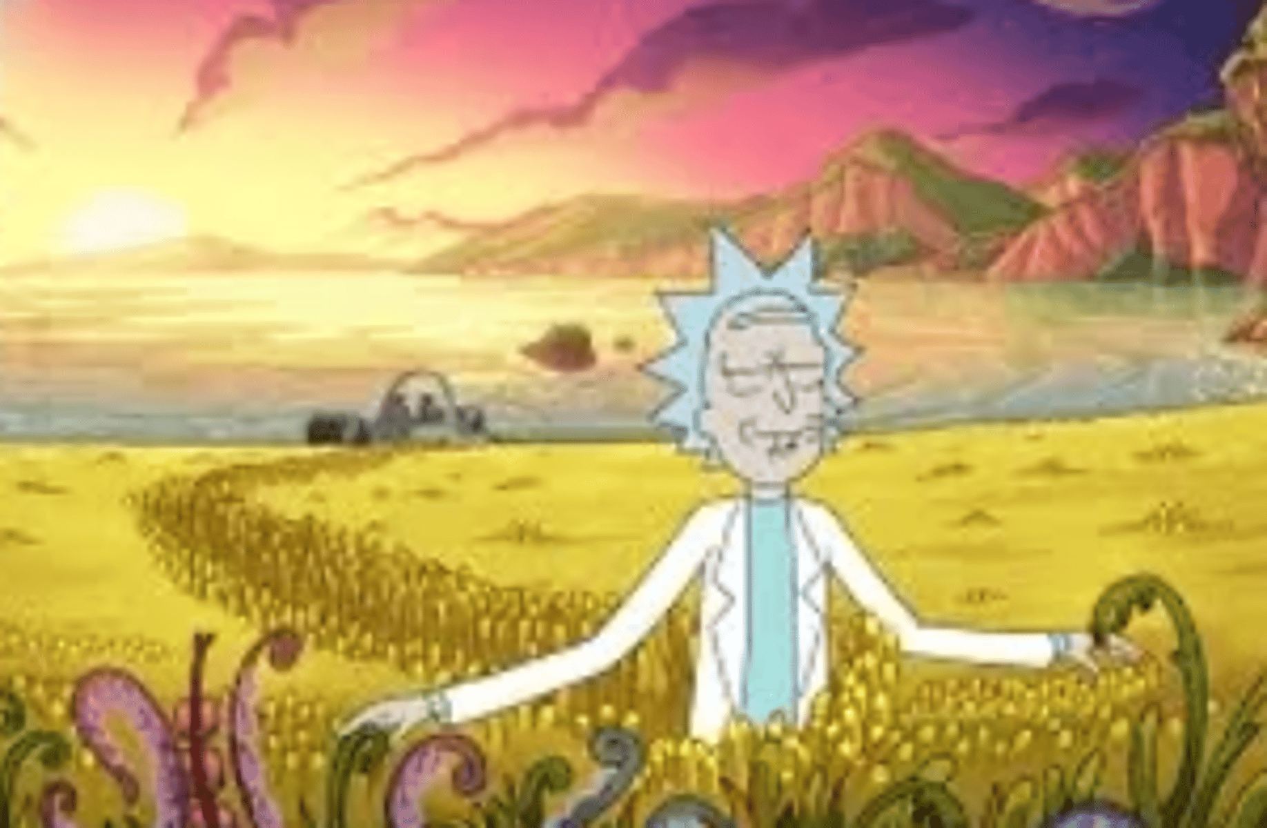 Rick sanchez