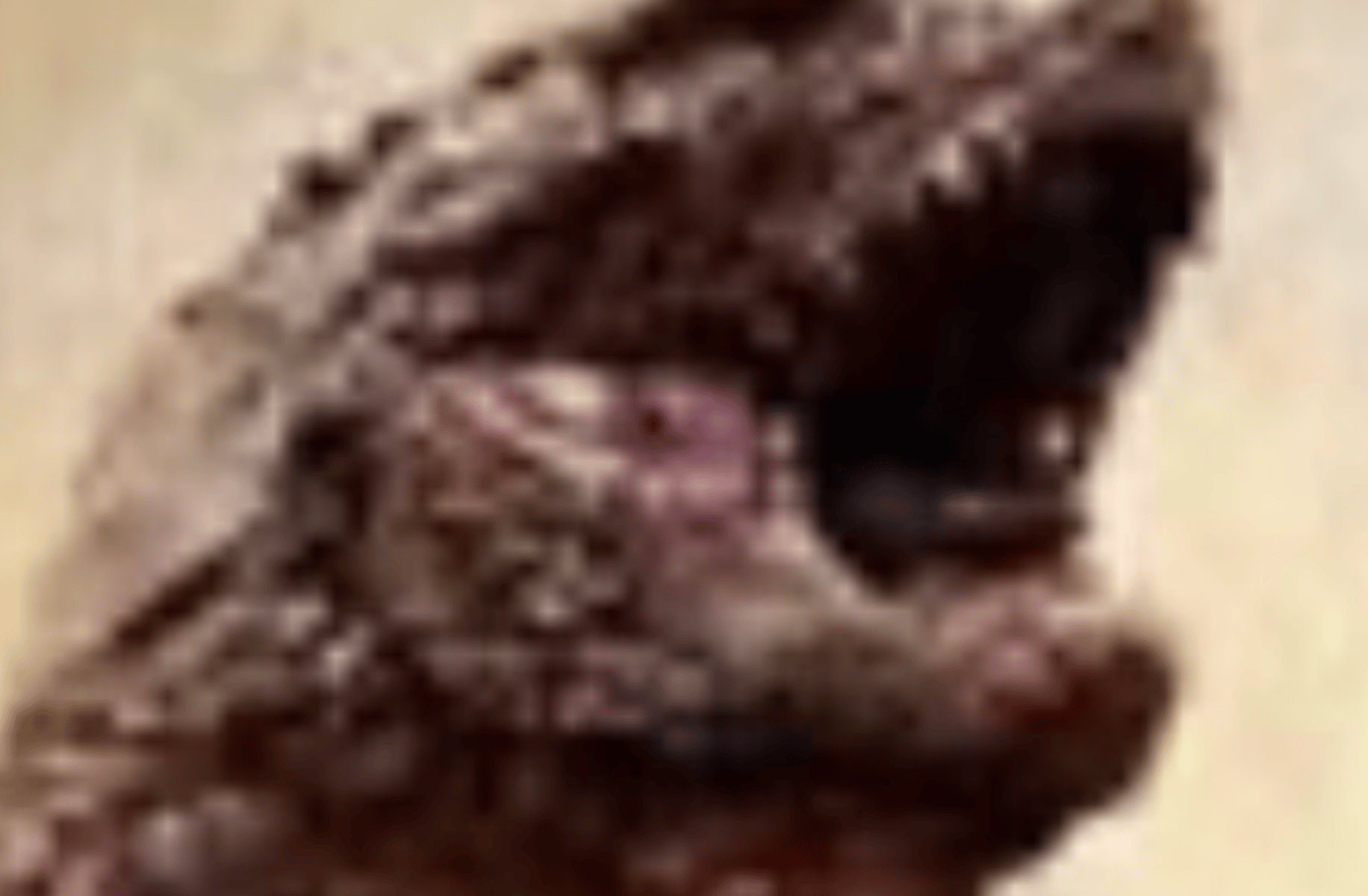 Godzilla