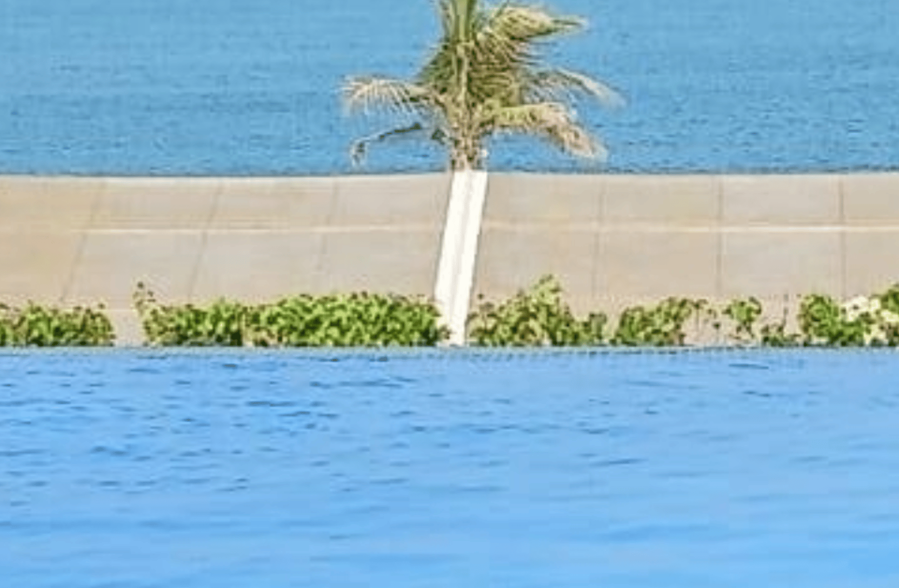 Riya