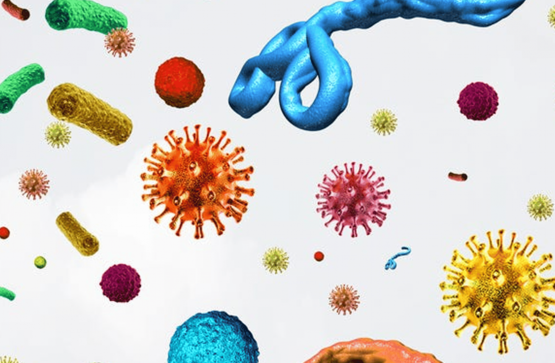 Germs