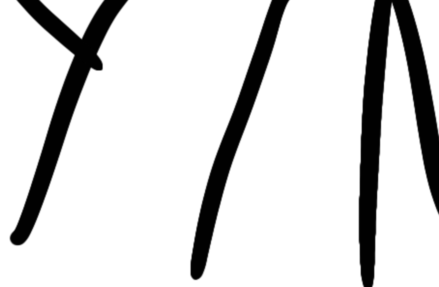 Copy bot